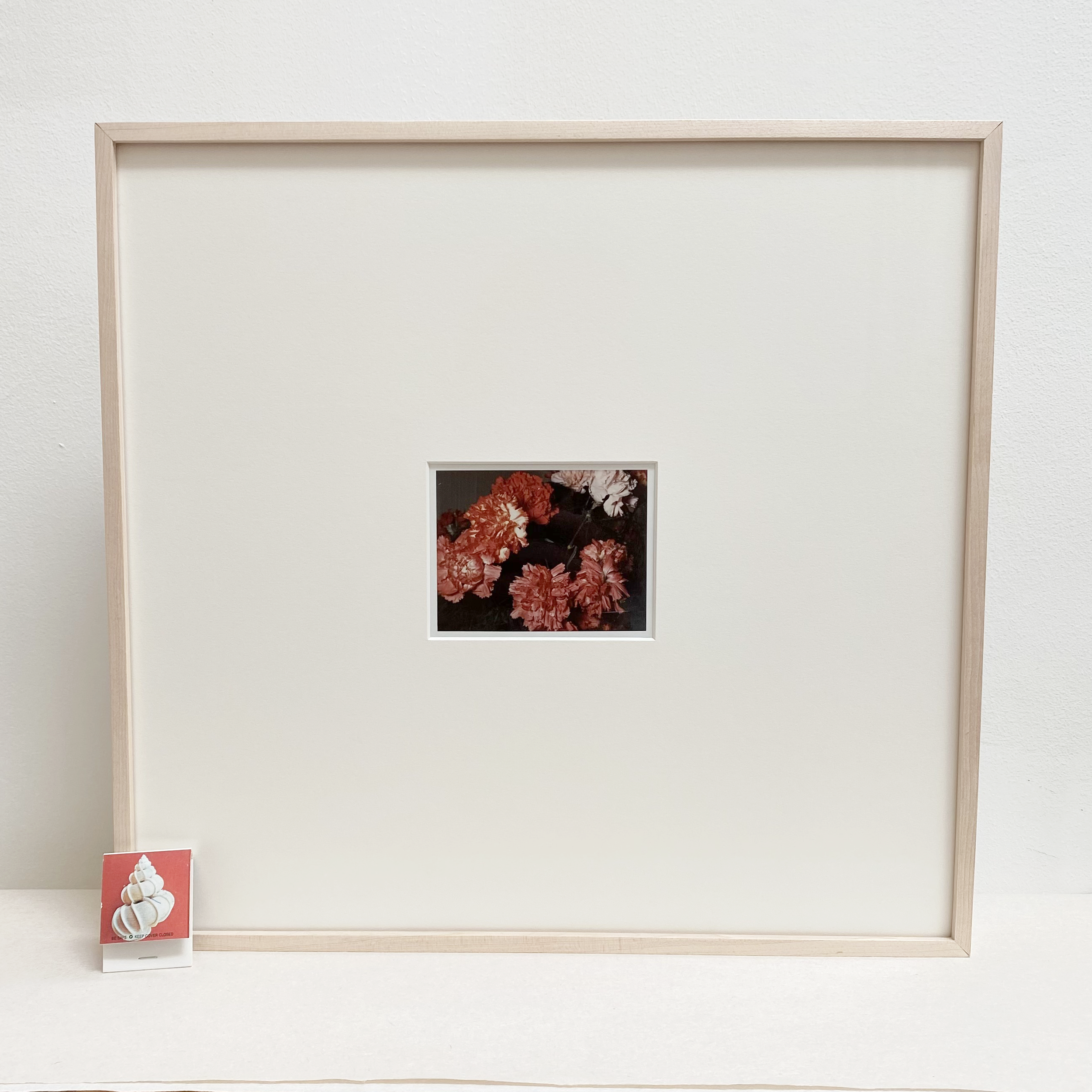 VS-APH-02_Carnations_3b.png