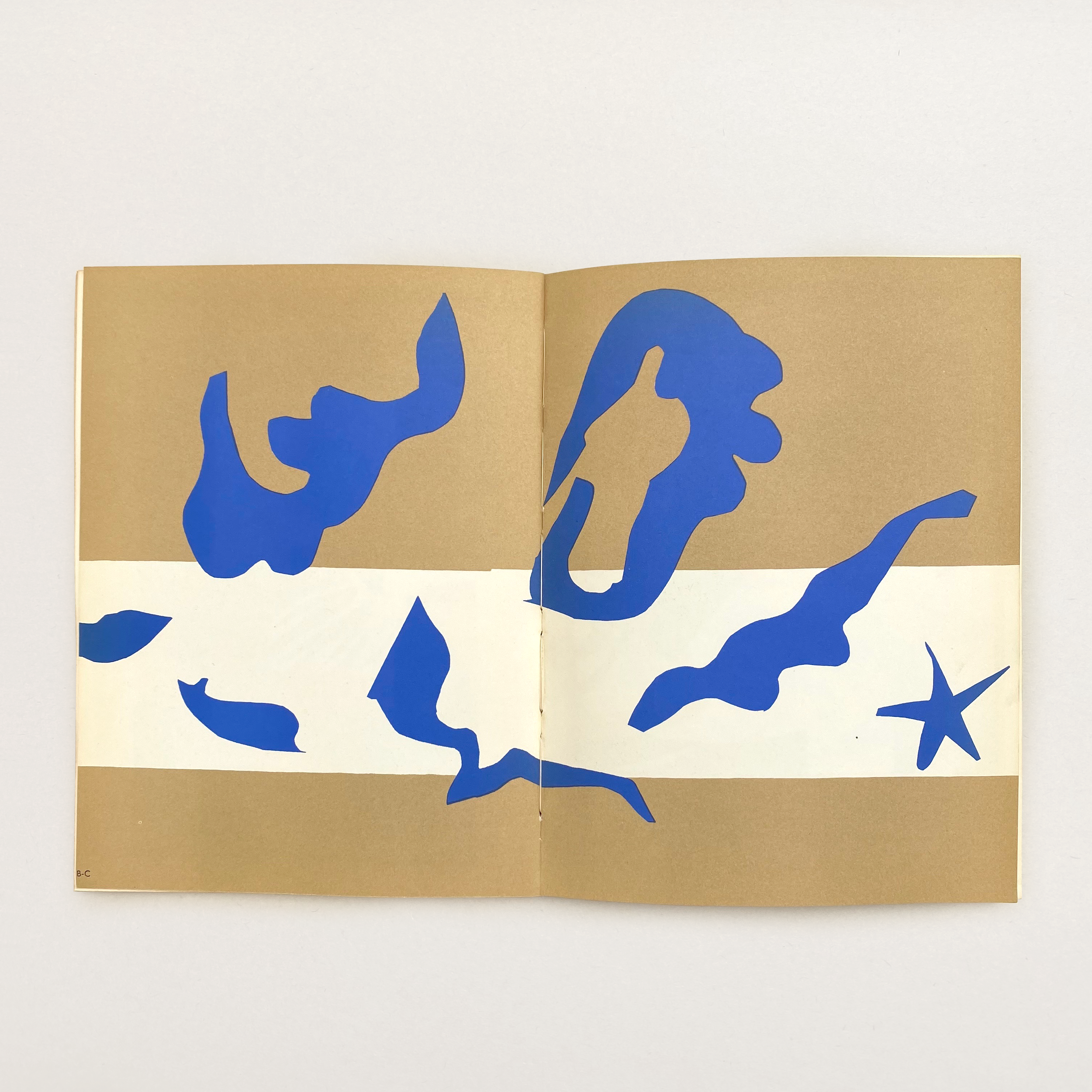 VS-AB-35_Matisse_2.png