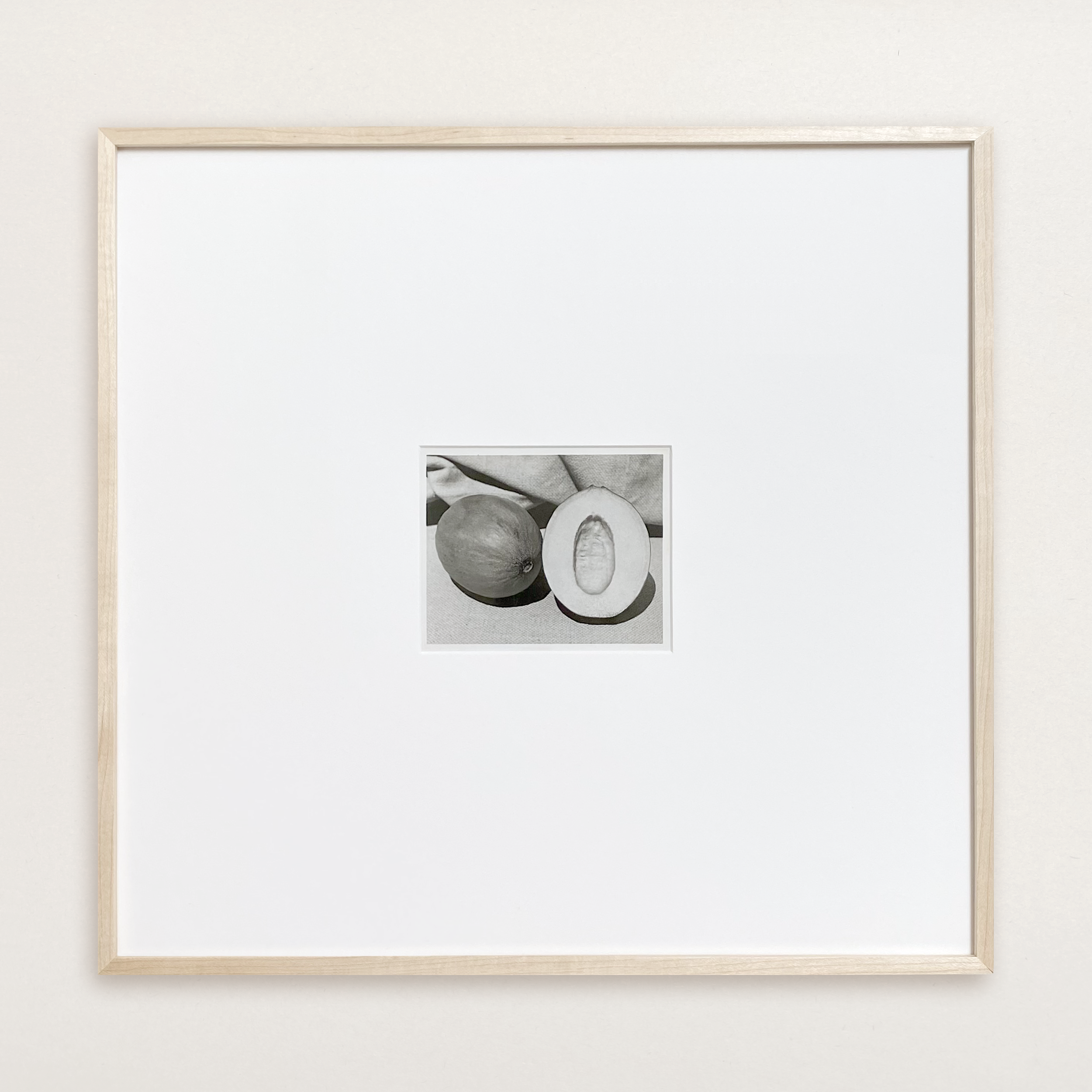 VS-APH-01_Melons_1c.png