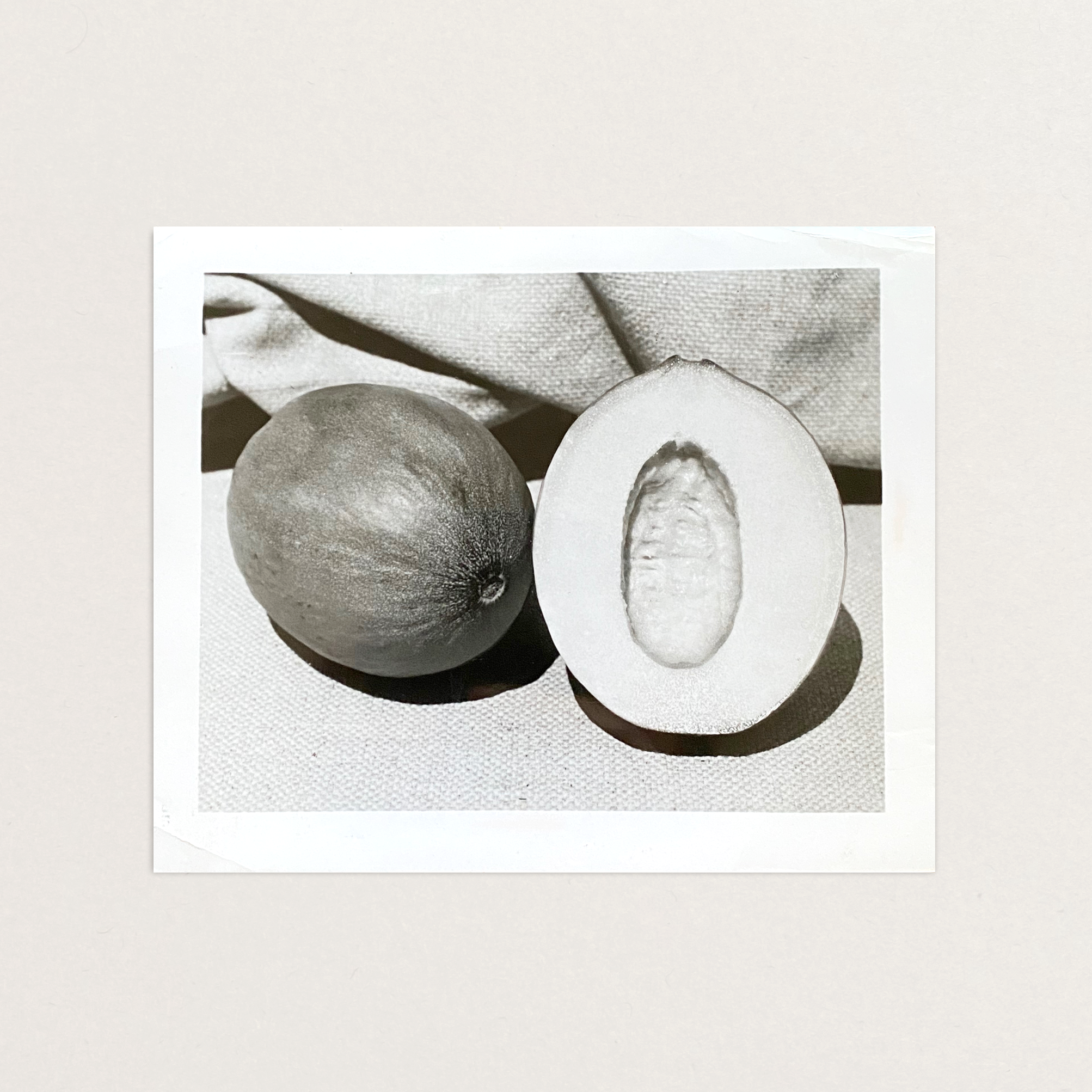 VS-APH-01_Melons_2.png