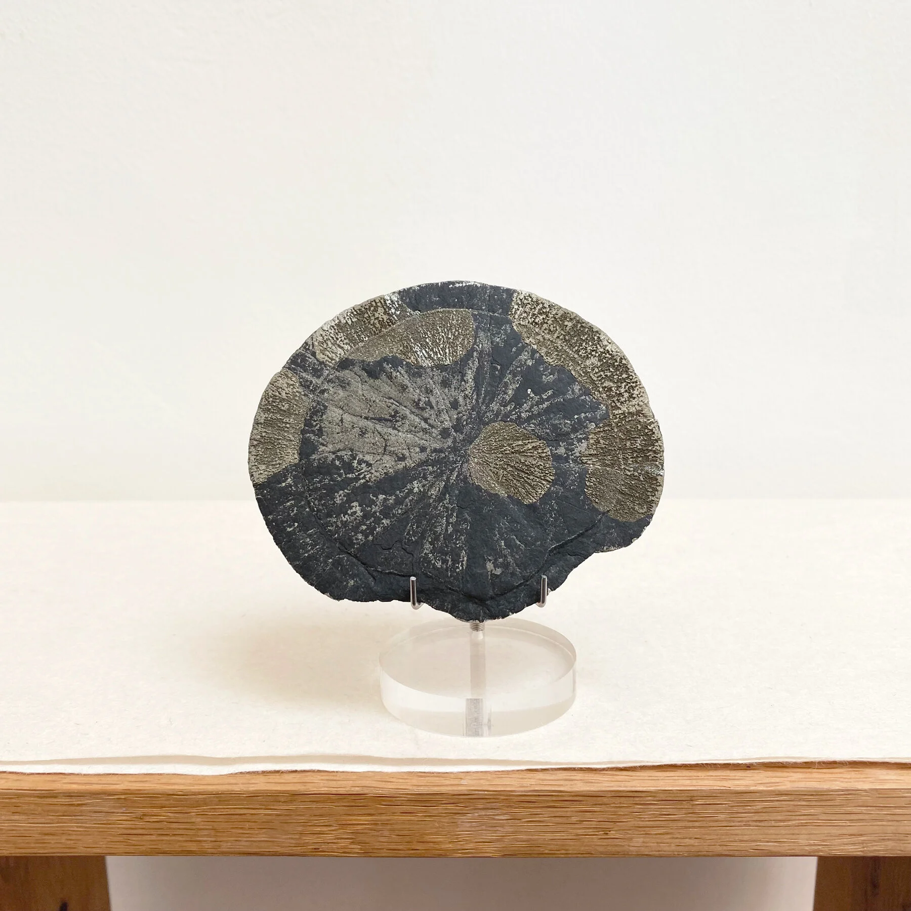499-1_Pyrite_Sun_1b.jpg