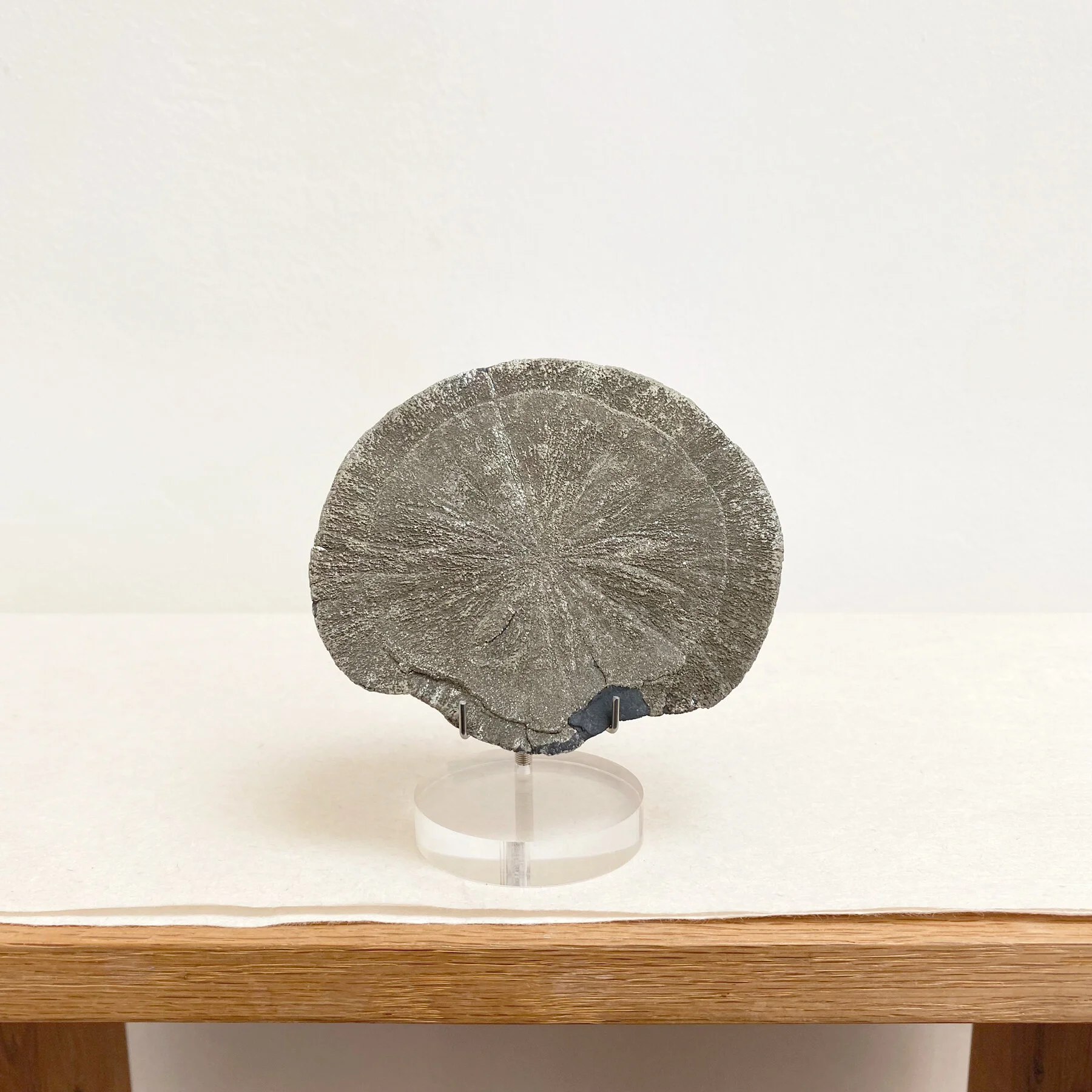 PYRITE SUN