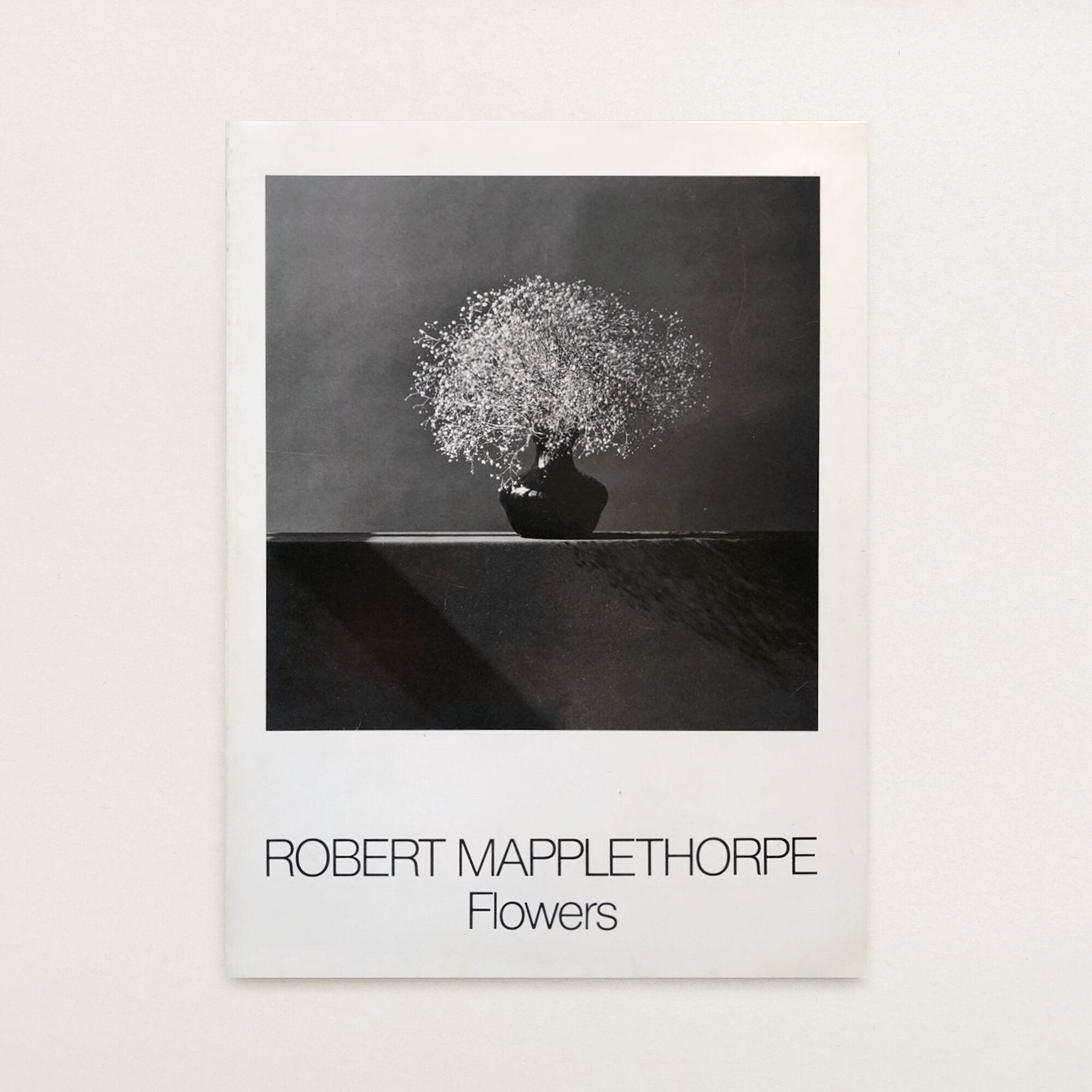 特価 Robert Mapplethorpe : The Big Monograph | colegioarmenio.edu.ar