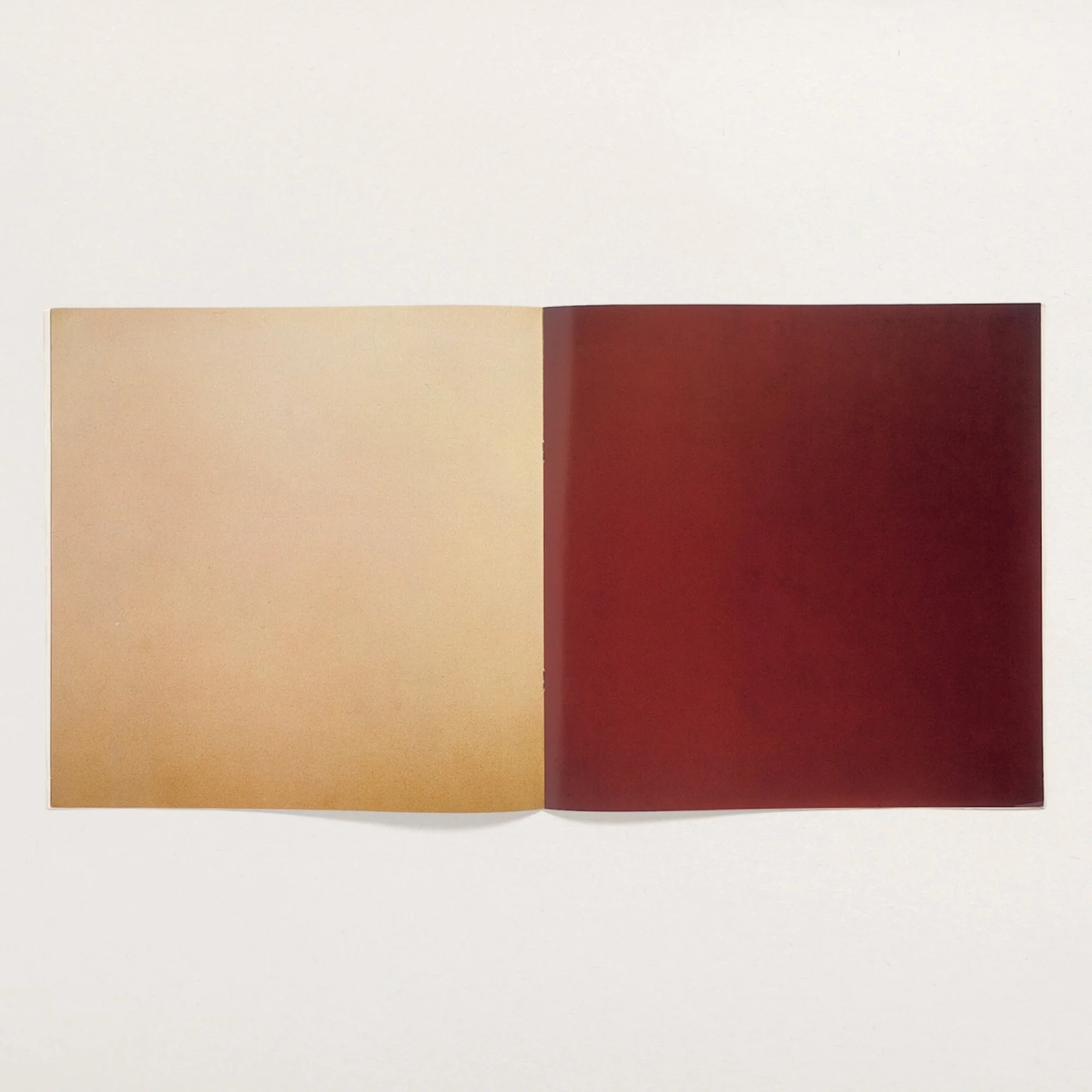 Bruce Nauman, “LA Air from Artists & Photographs”, c. 1970
