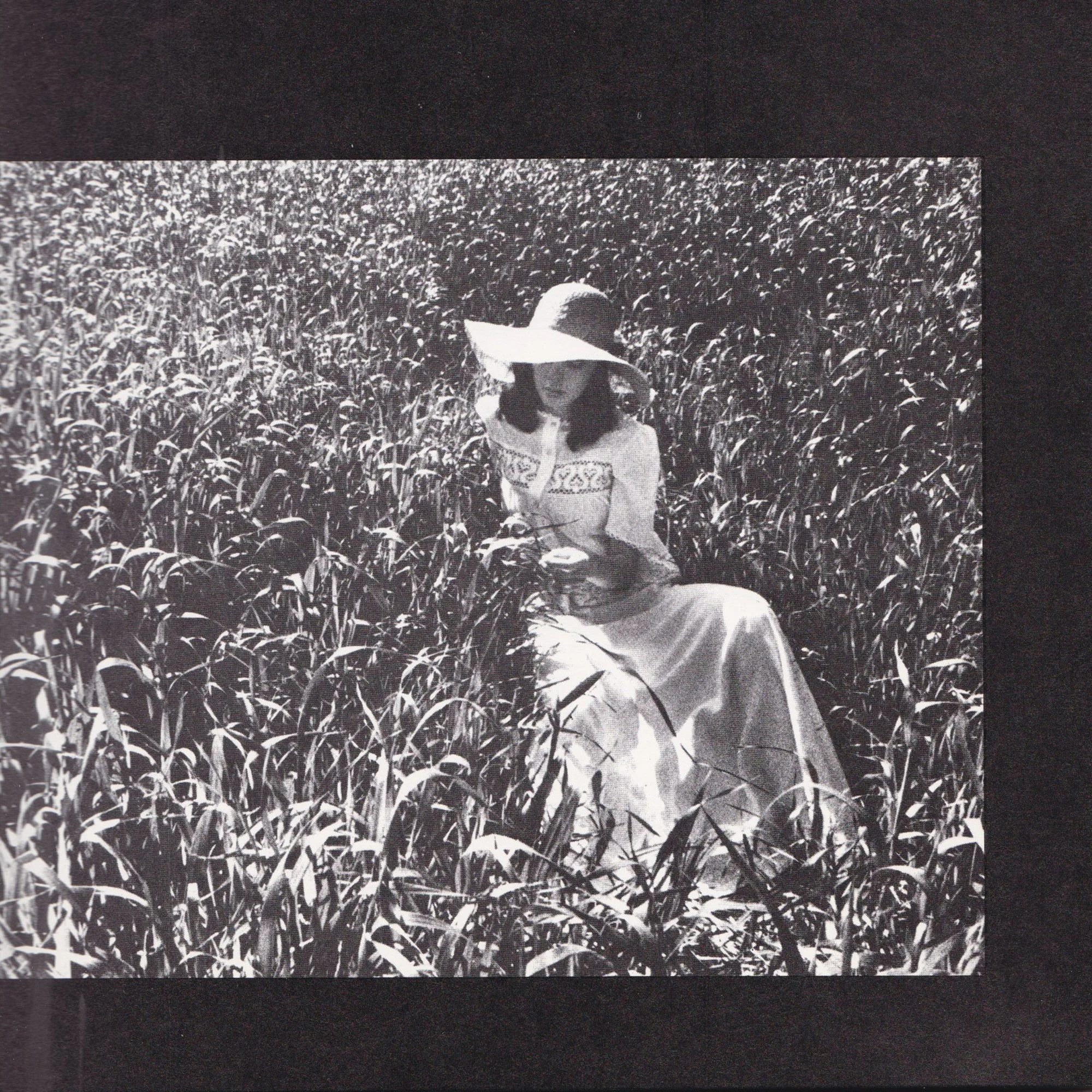 VS-AB-70_Crystal_Voyager_Gentlewoman_book_4.jpg