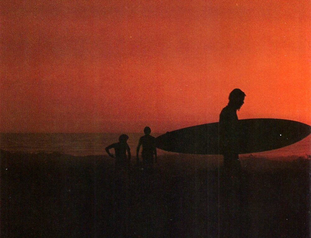 C.V. ESSENTIALS — SURF