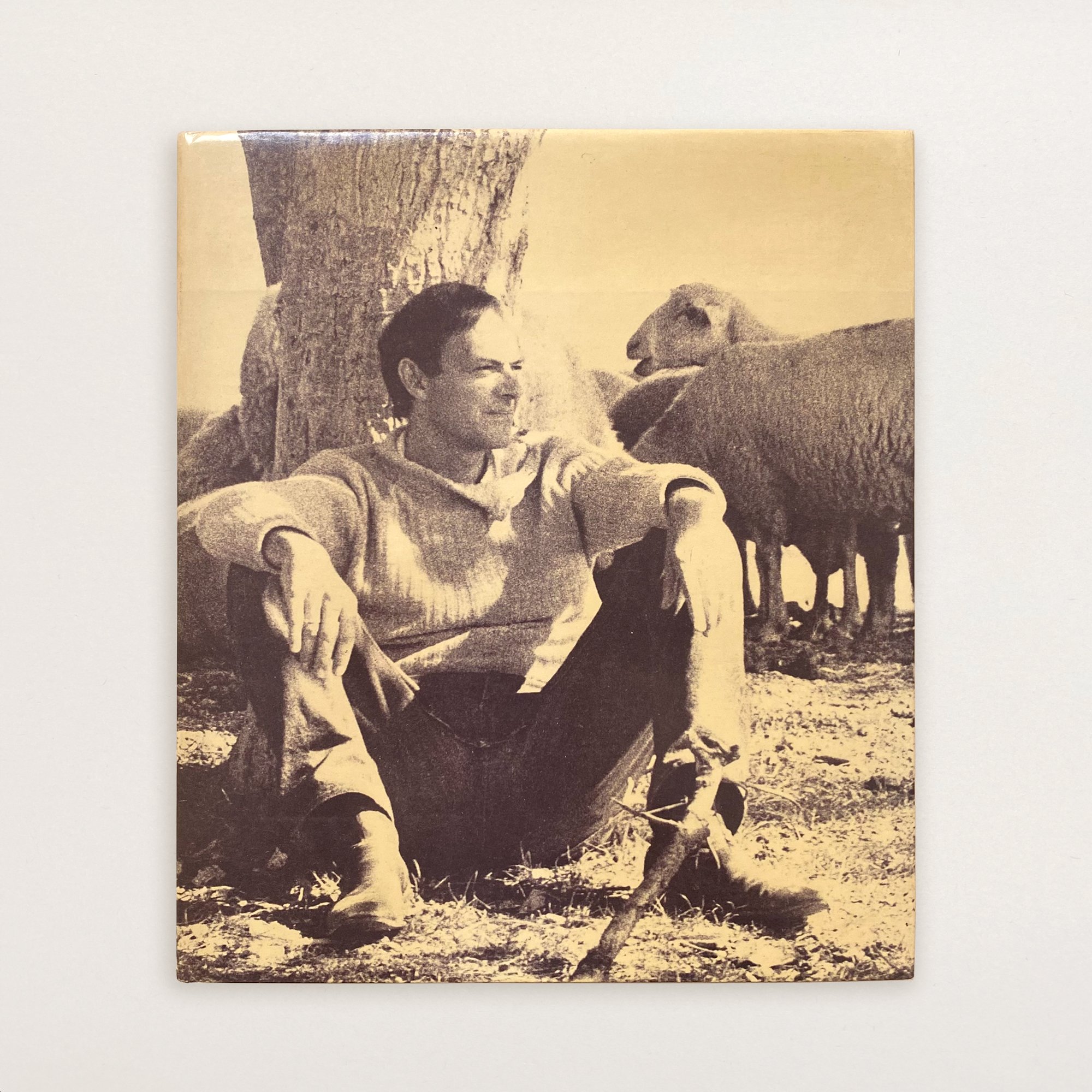 CY TWOMBLY: BILDER PAINTINGS 1952-1976, VOL. 1, c. 1978