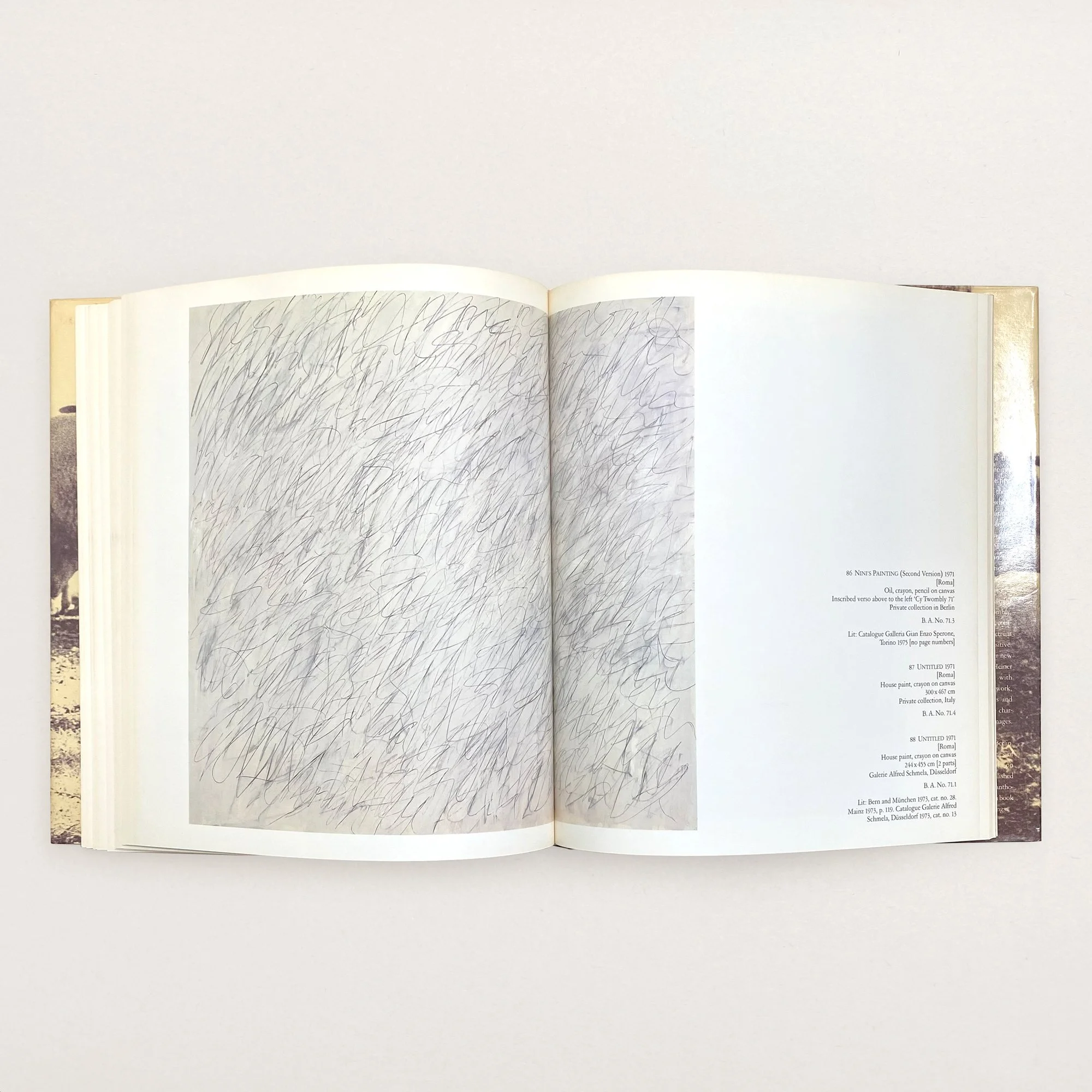 VS-AB-88-Crystal_Voyager_vintage_art_book_Cy_Twombly_book_7.jpg