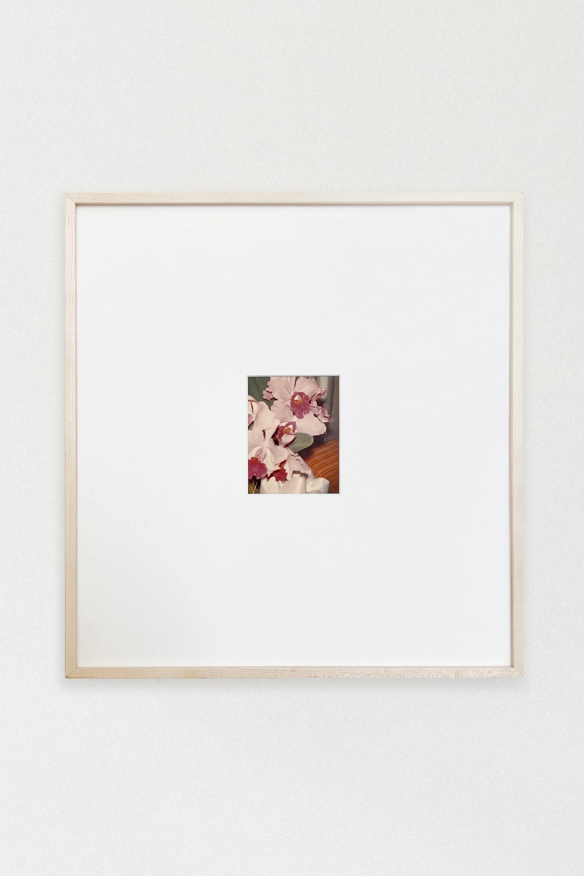FRAMED ORCHID POLAROID, c. 1970s