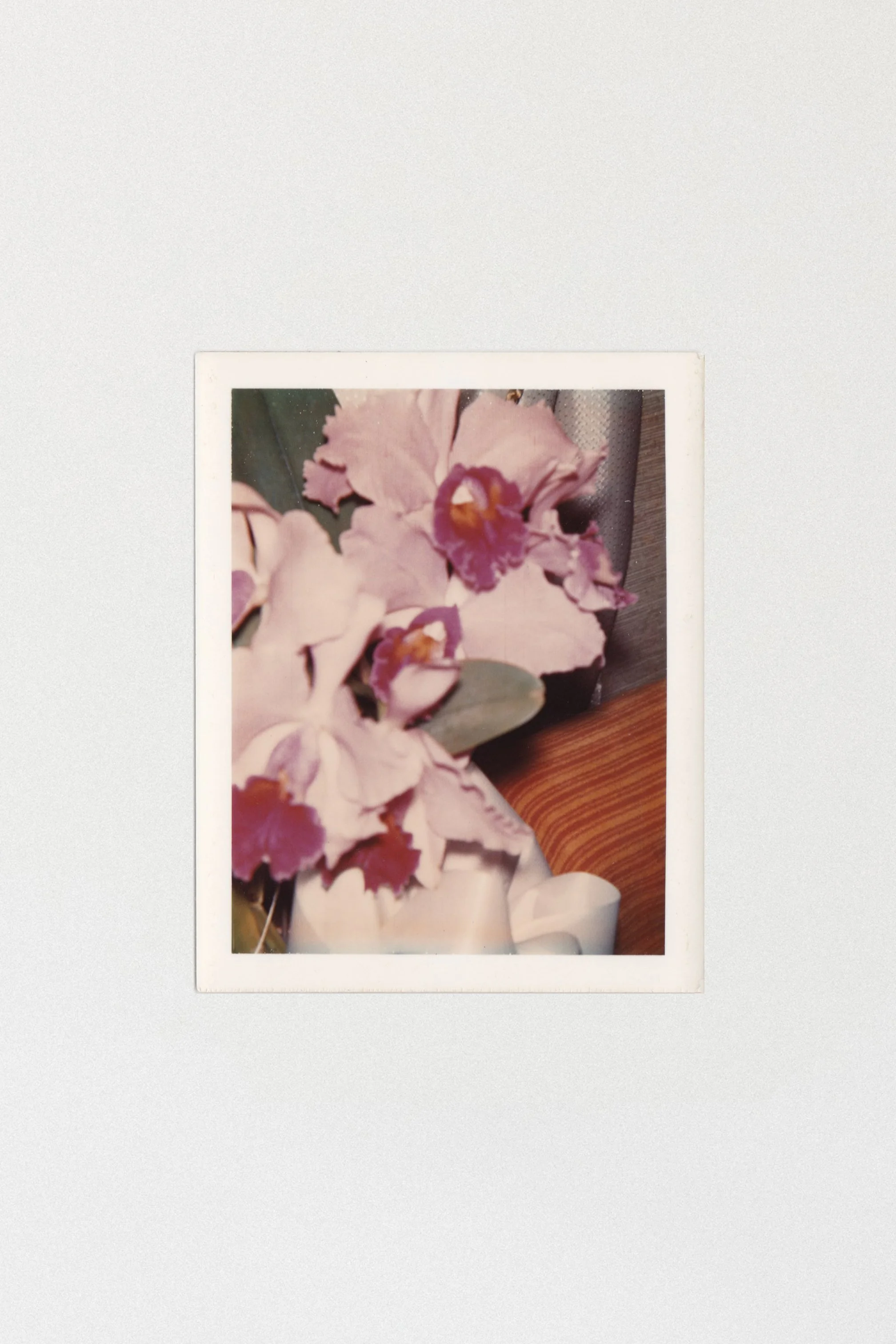 VS-APH-15_Crystal_Voyager_Malibu_Store_Framed_Art_Photography_Vintage_Orchid_Polaroid_1970s_2.jpg