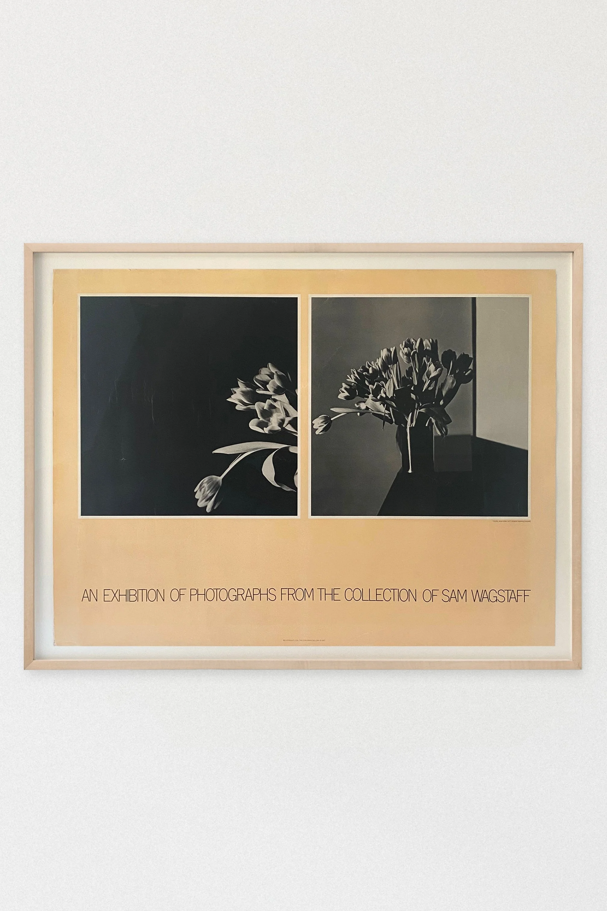 FRAMED SAM WAGSTAFF MAPLETHORPE POSTER, c. 1978