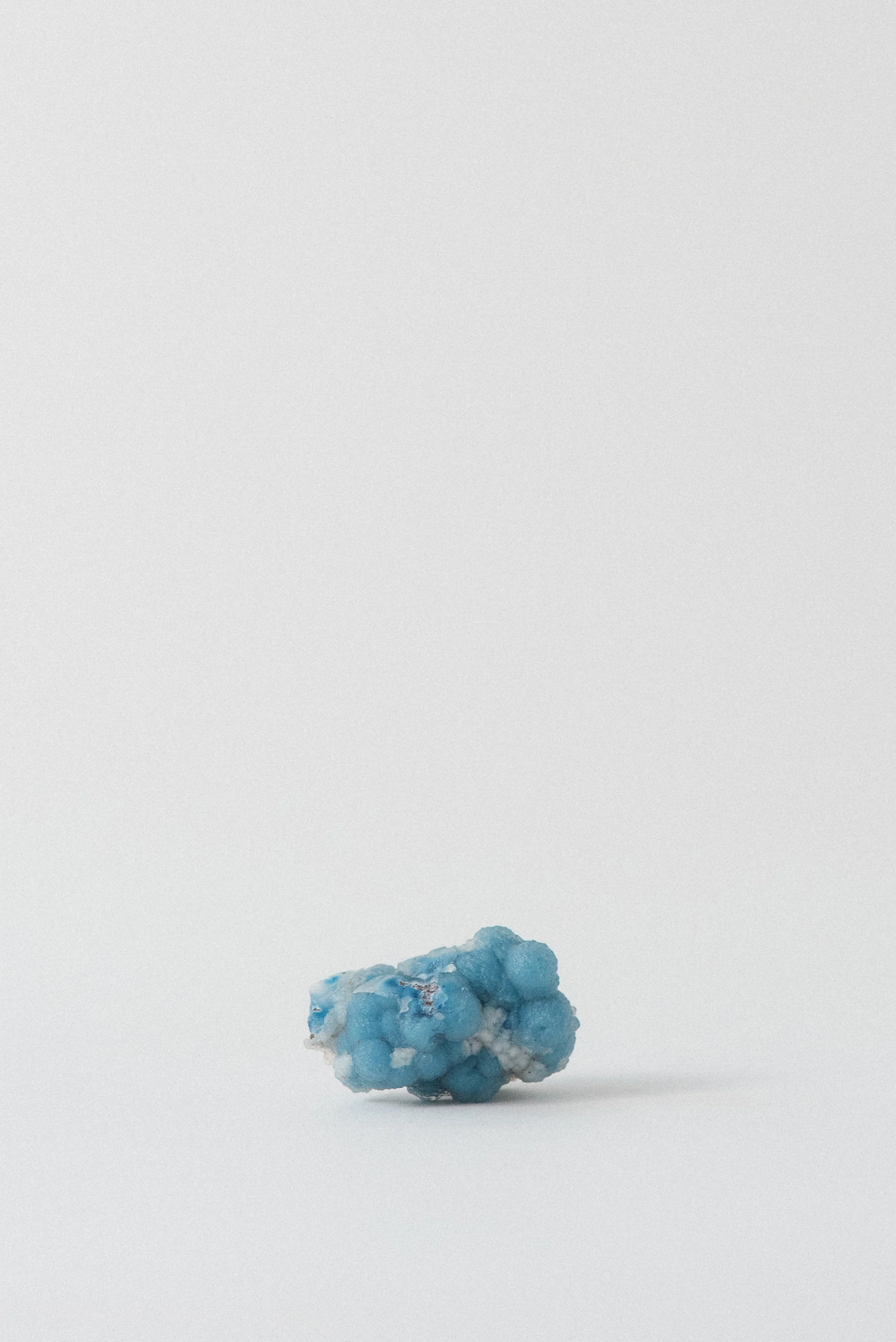 BLUE SHATTUCKITE