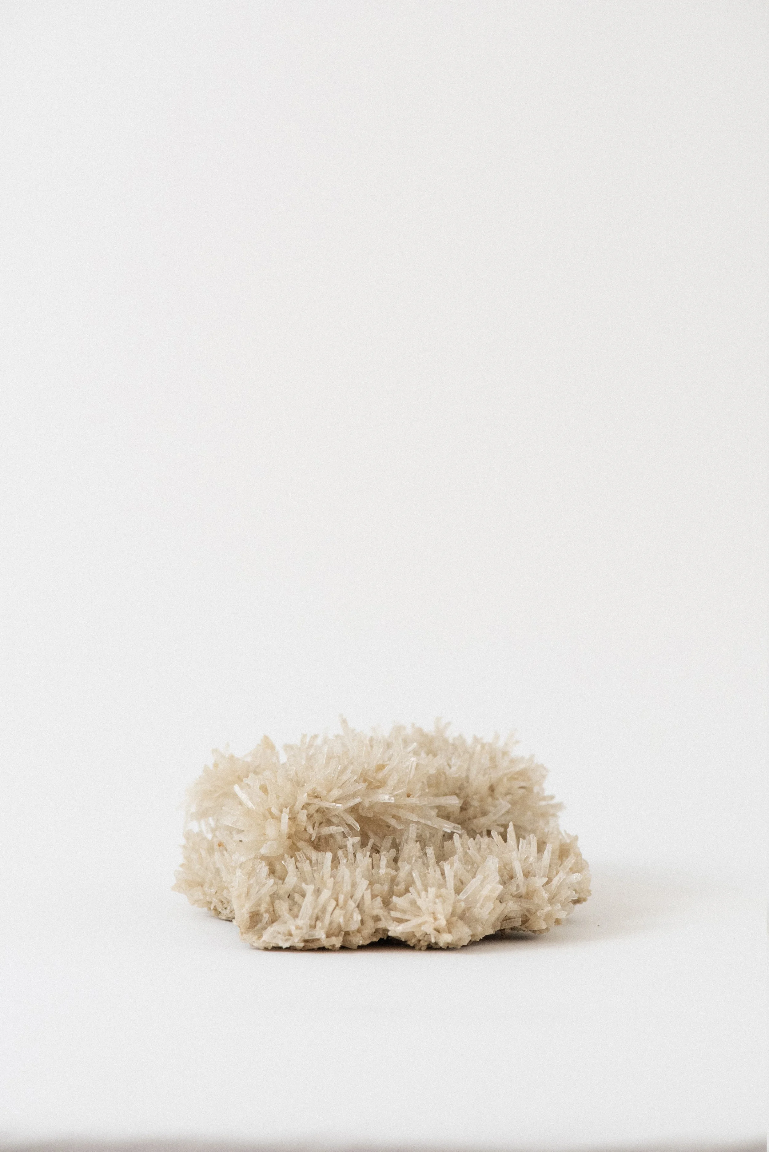 818-Crystal_Voyager_Shop_Los_Angeles_Gypsum_Selenite_specimen_from_Spain_for_sale_4.jpg