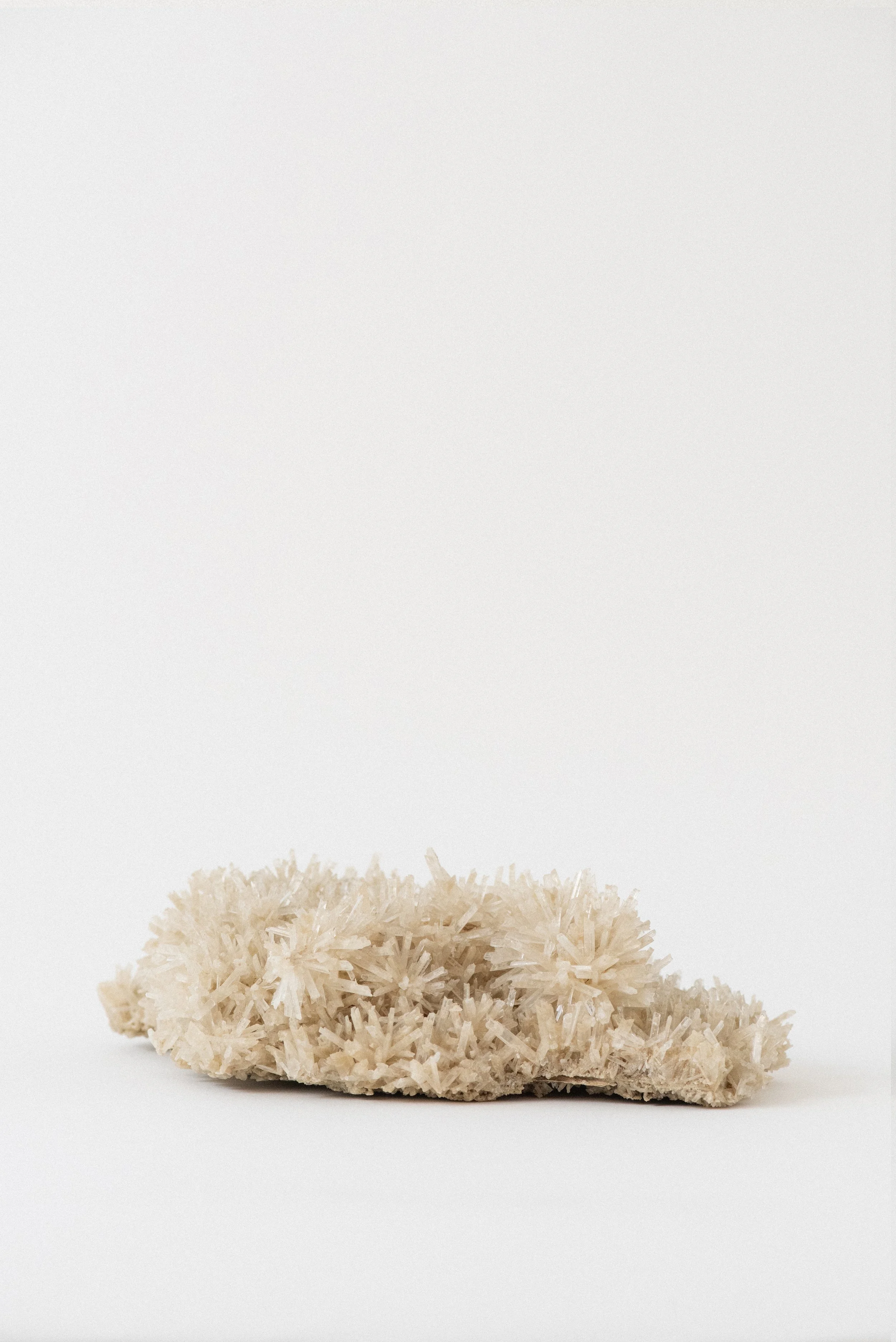 818-Crystal_Voyager_Shop_Los_Angeles_Gypsum_Selenite_specimen_from_Spain_for_sale_2.jpg
