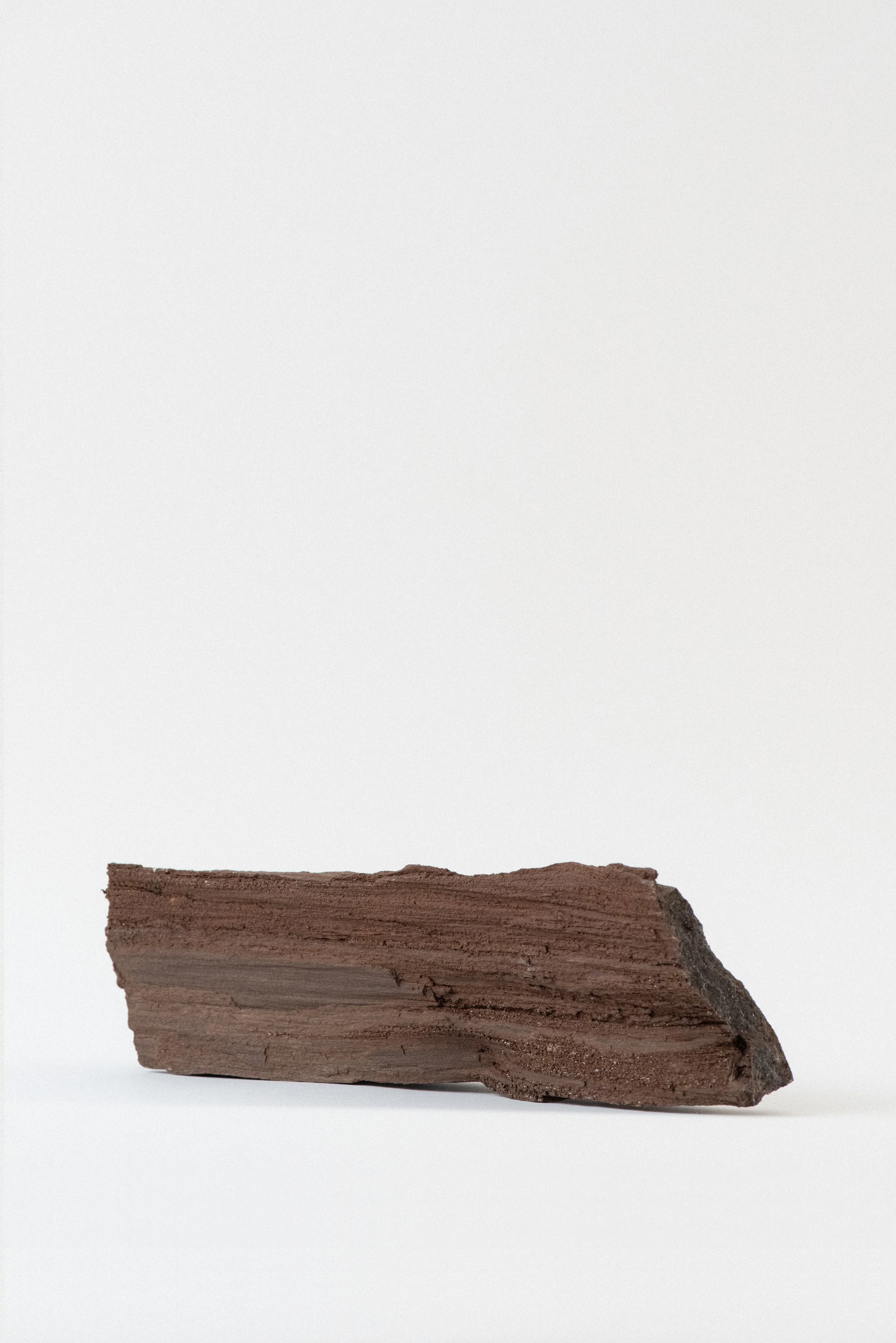 781-2-Crystal_Voyager_Shop_Los_Angeles_Petrified_Wood_specimen_from_Saxony_Germany_for_sale_4.jpg