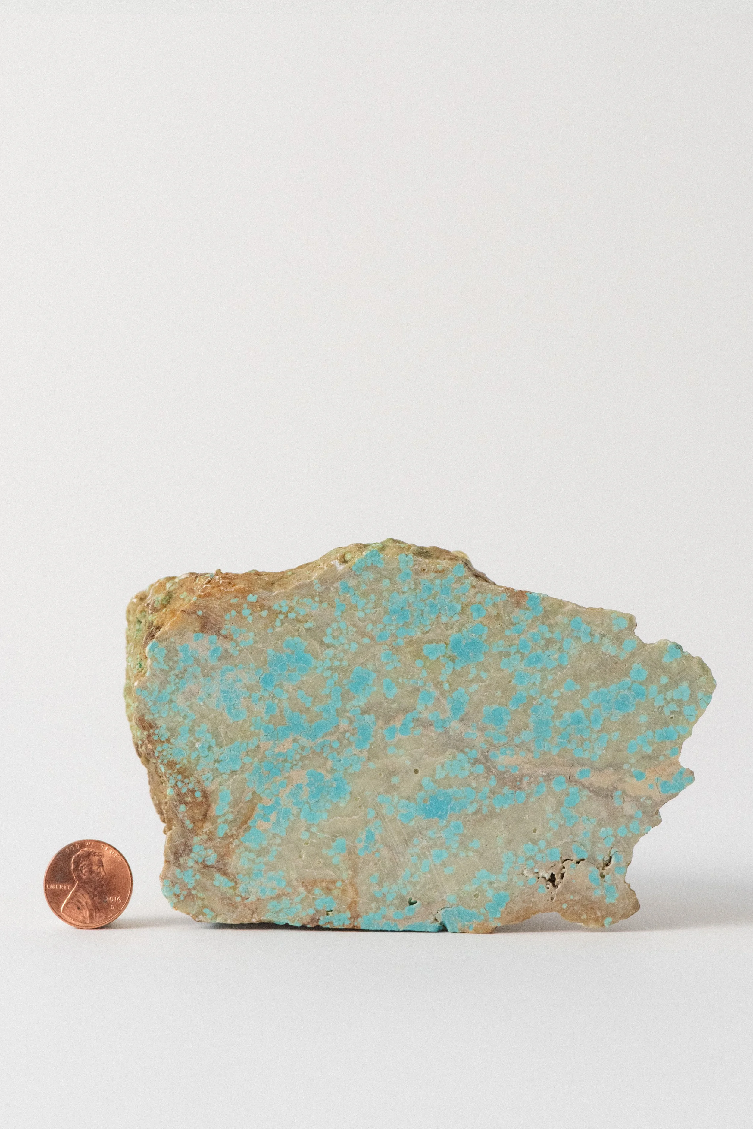 Natural, unstabilized turquoise specimen beside a coin for size reference.