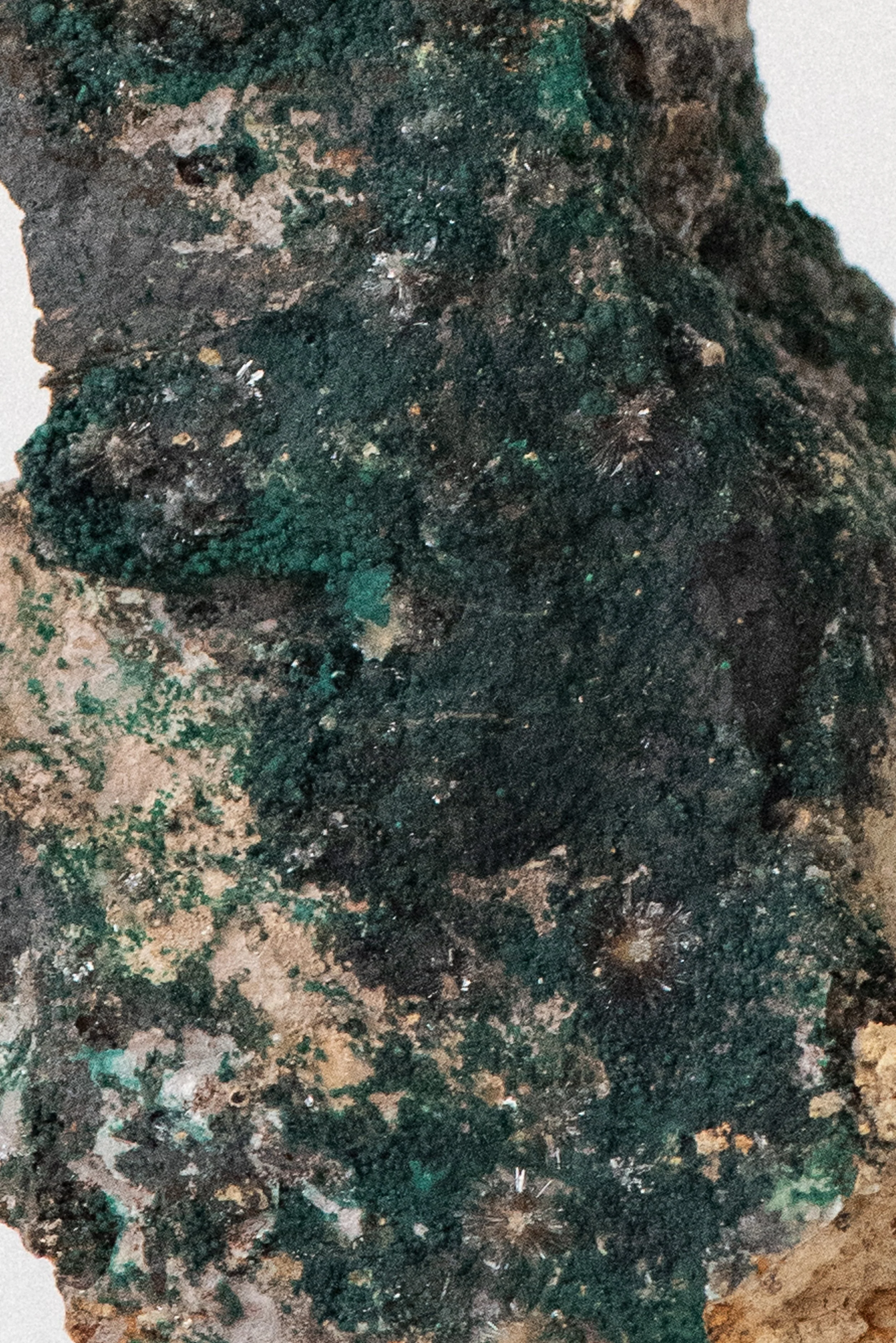 850-1-Crystal_Voyager_Shop_Los_Angeles_vintage_malachite_specimen_from_apex_mine_utah_for_sale_6.jpg
