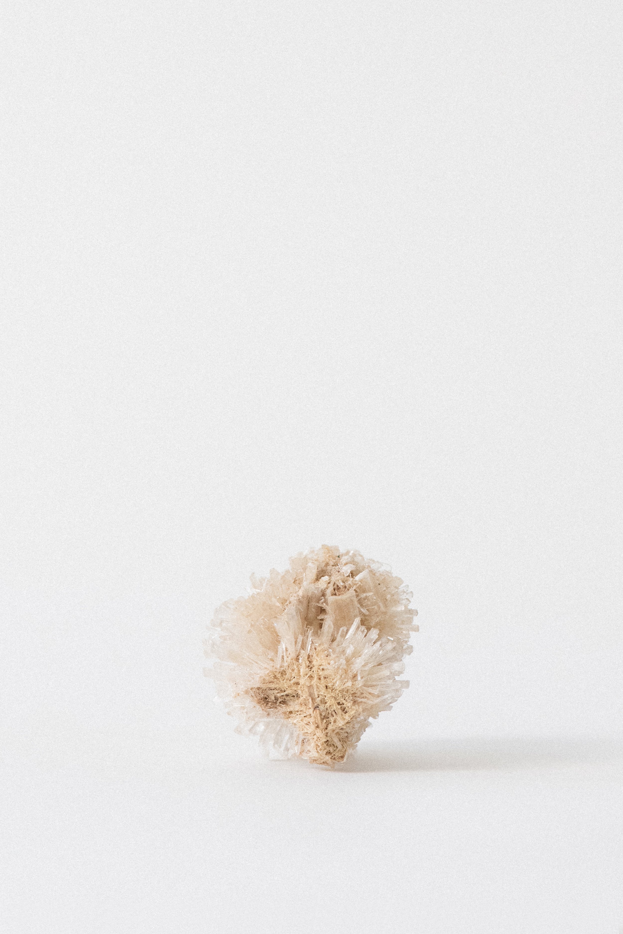 922-Crystal_Voyager_Los_Angeles_Gypsum_selenite_mineral_specimen_from_Whyalla_Upper_Spencer_Gulf_South_Australia_6.jpg