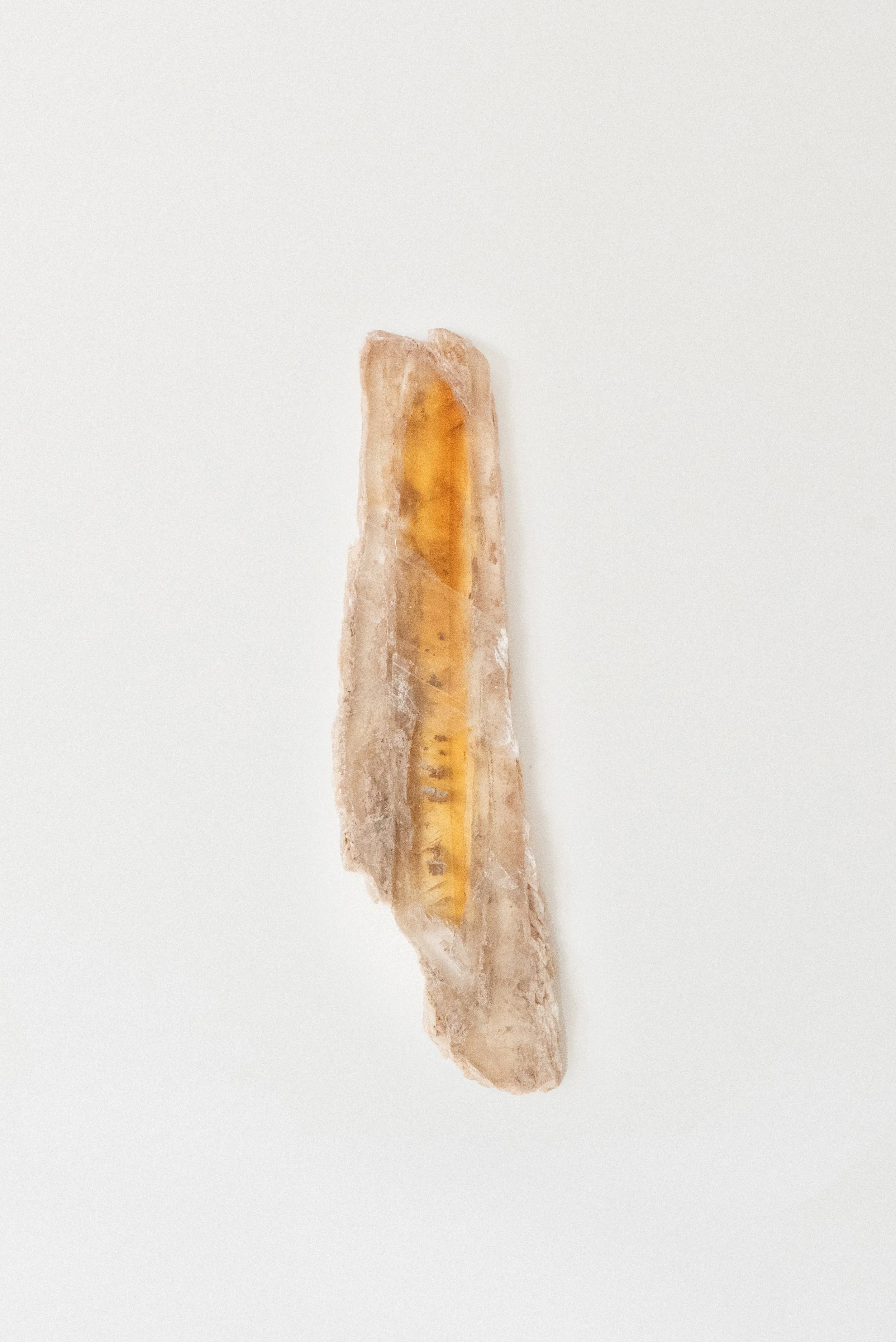 899-1-Crystal_Voyager_online_crystal_store_Golden_selenite_wand_mineral_specimen_from_st_david_arizona_for_sale_6.jpg