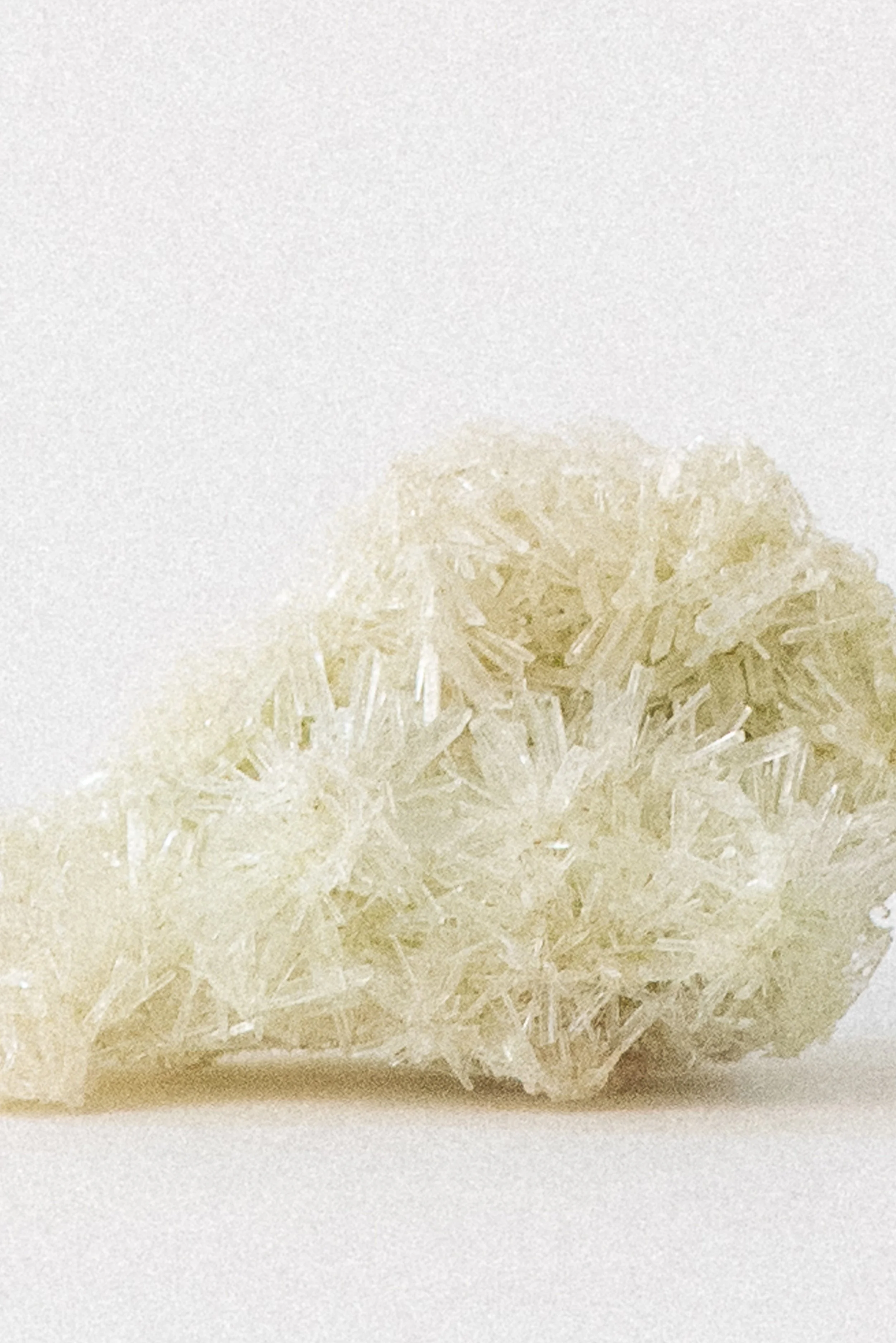 922-2-Crystal_Voyager_Los_Angeles_Gypsum_selenite_mineral_specimen_from_Whyalla_Upper_Spencer_Gulf_South_Australia_8.jpg