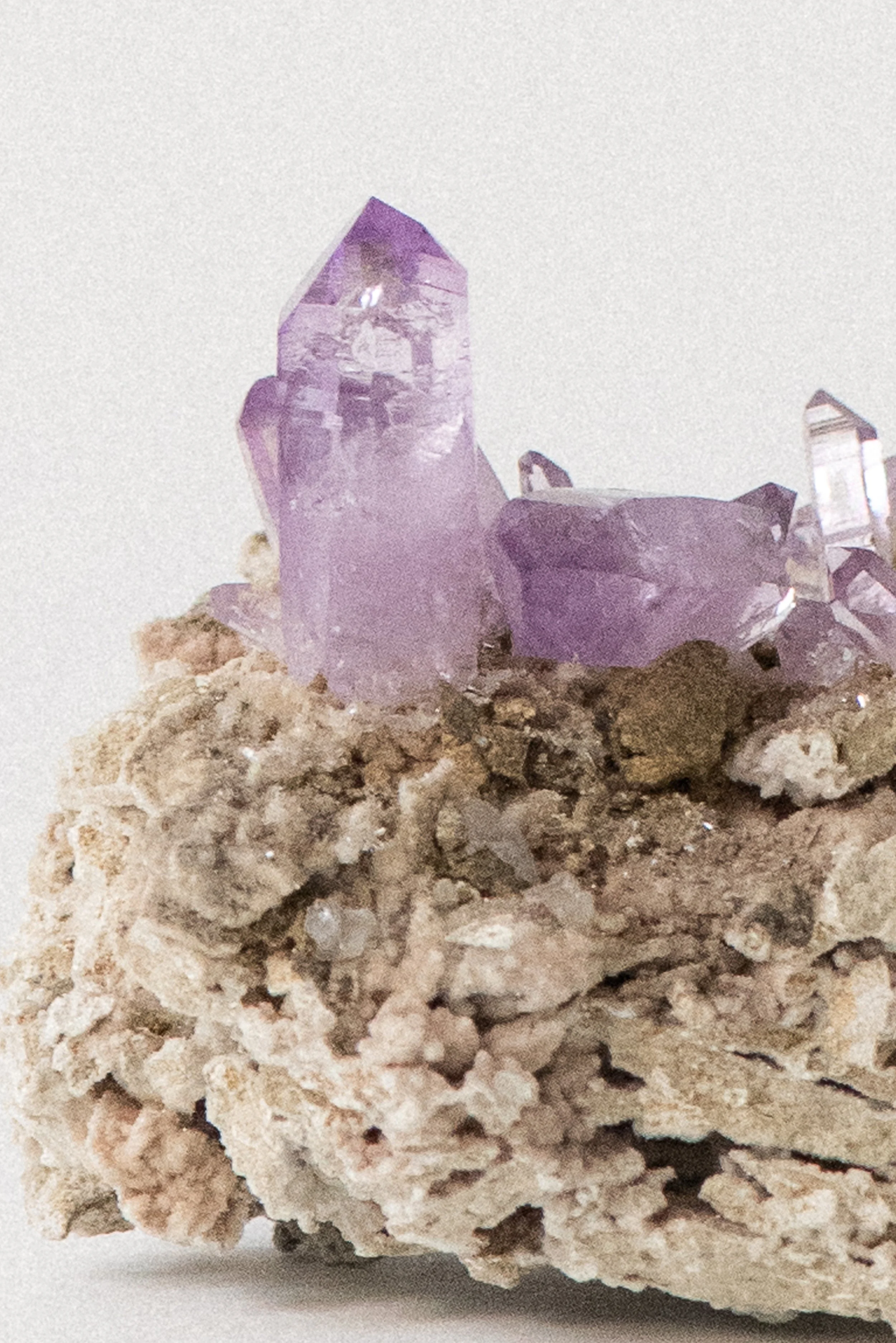 925-1-Crystal_Voyager_online_crystal_store_amethyst_mineral_specimen_from_vera_cruz_mexico_for_sale_11.jpg