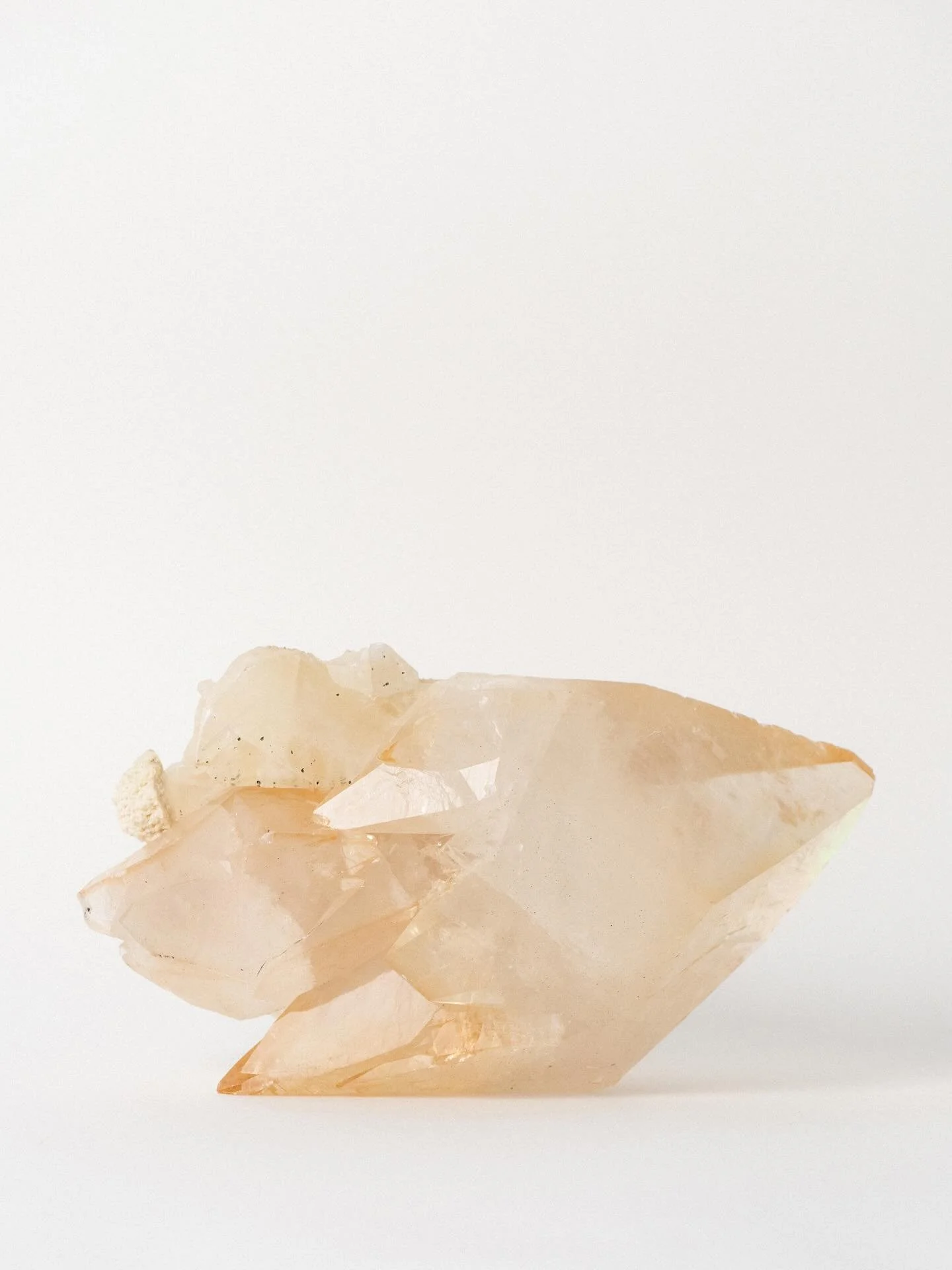 *SHOP UPDATE*
New crystals have been added to this shop, like this incredible extra large stellar beam calcite from the famous locale of Elmwood, Tennessee. A portion of profits from this month&rsquo;s sales will be donated to the @lafoodbank.

#stel