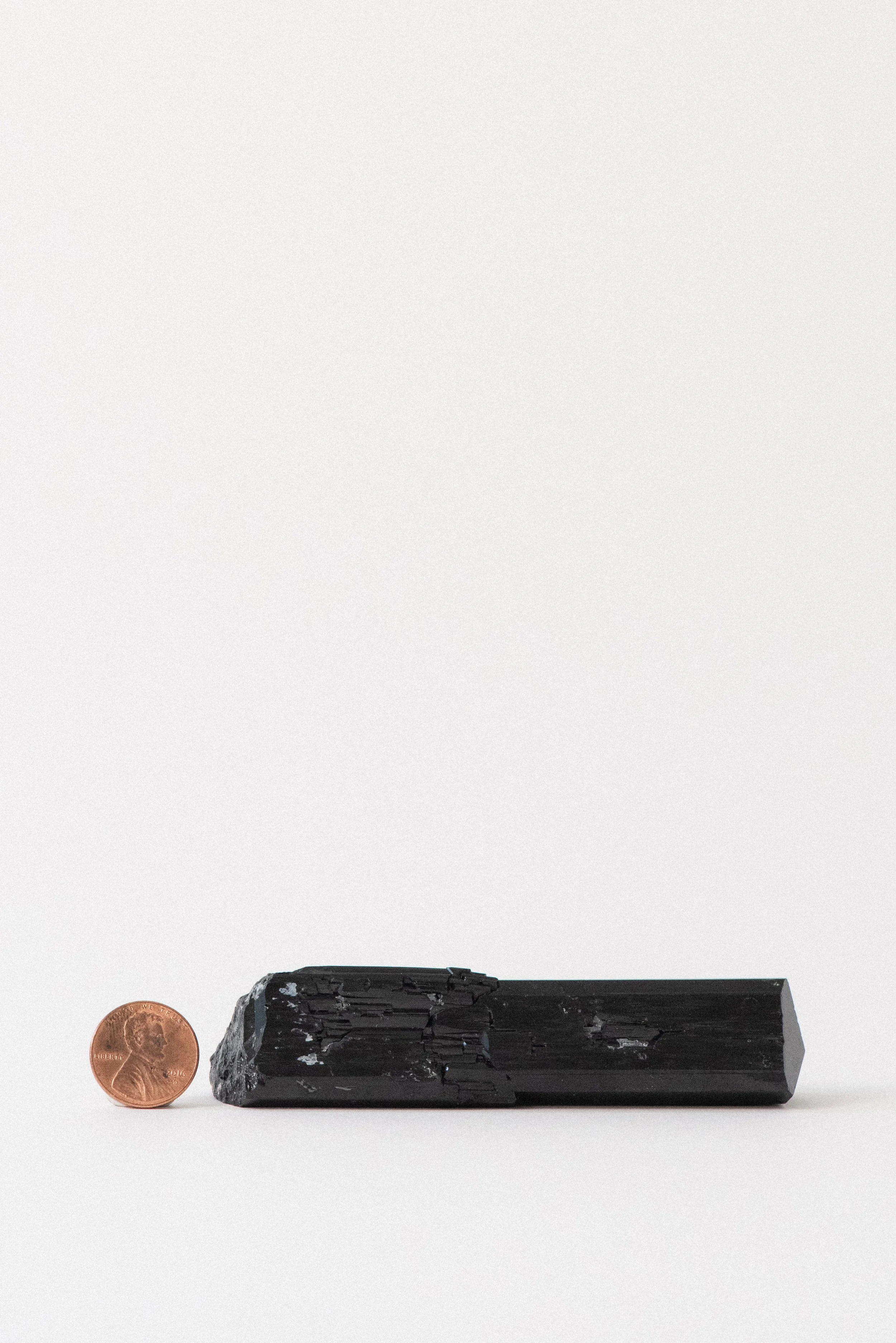 Black tourmaline next to a coin for scale, showing full length and form.
