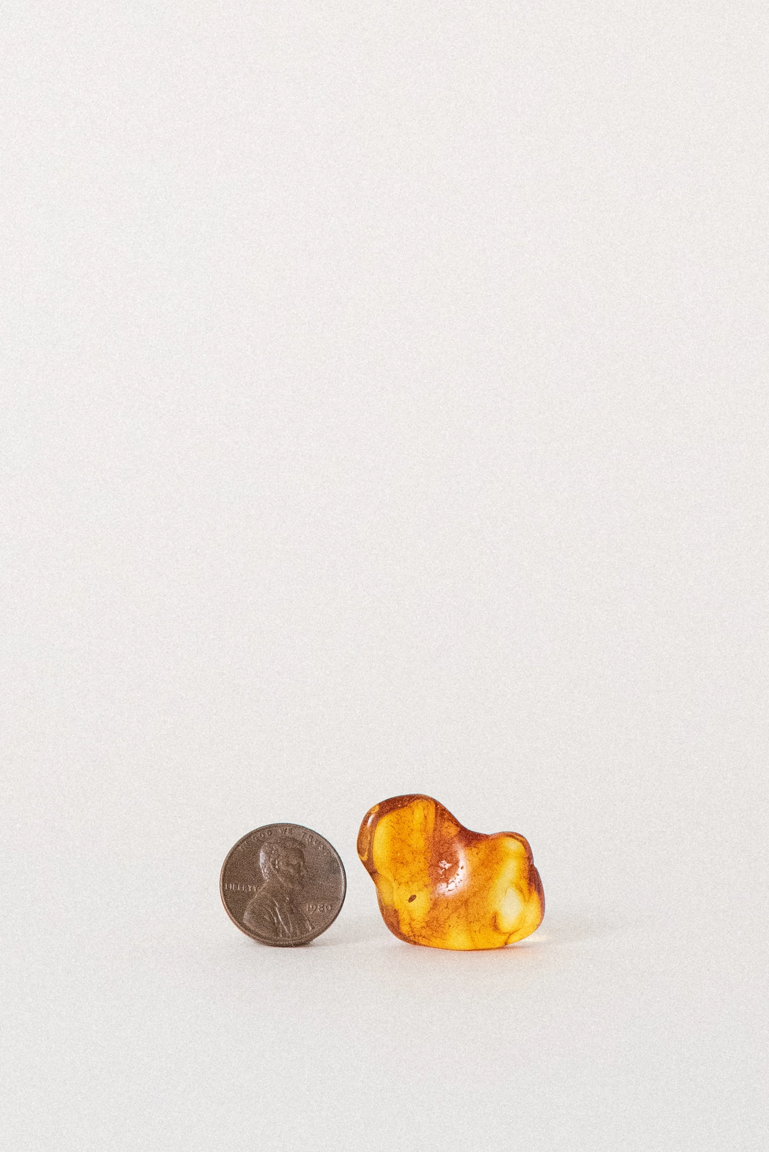 crystal-voyager-polished-baltic-amber-5.jpg