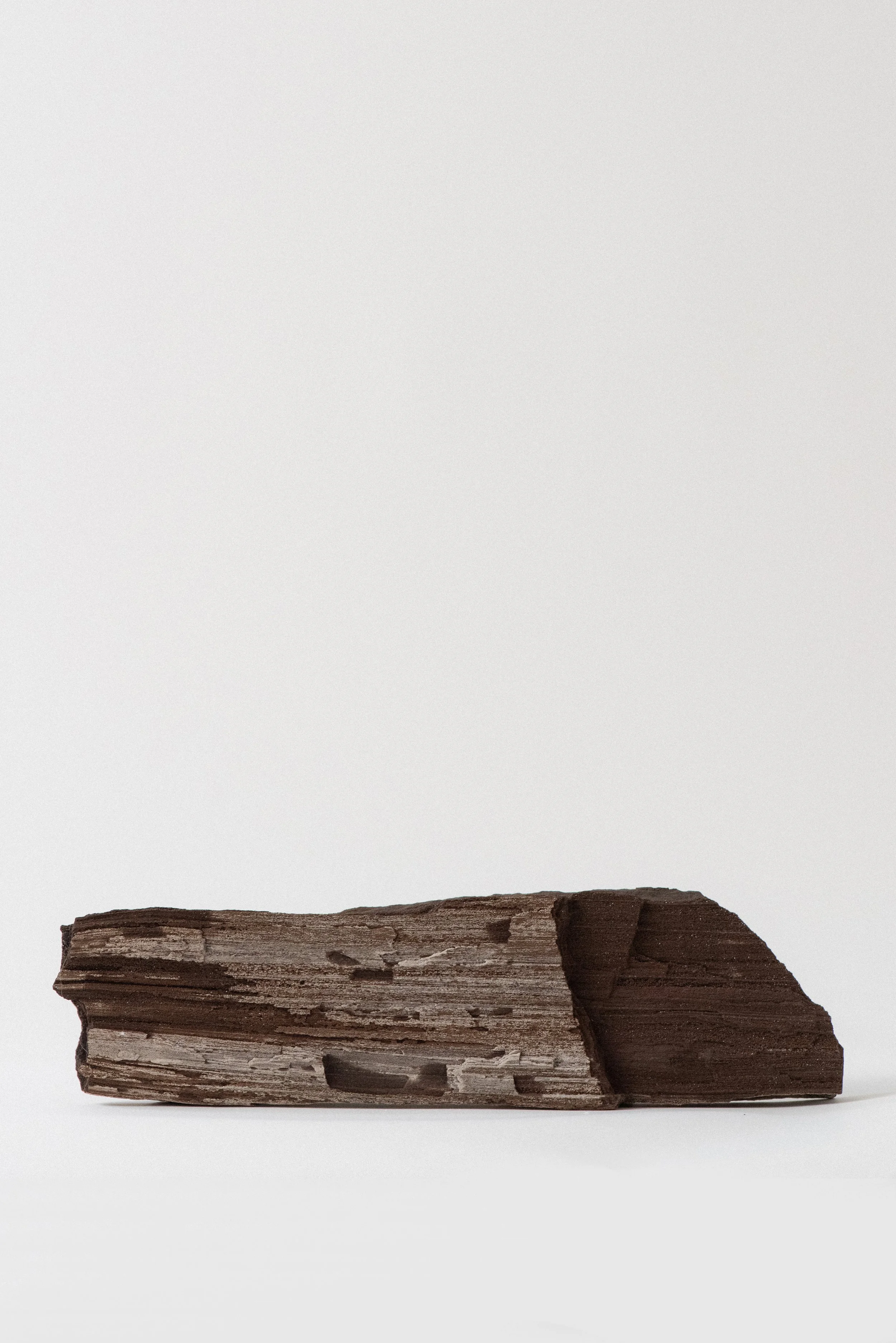 mineral-rich quartz inclusions in ancient petrified wood