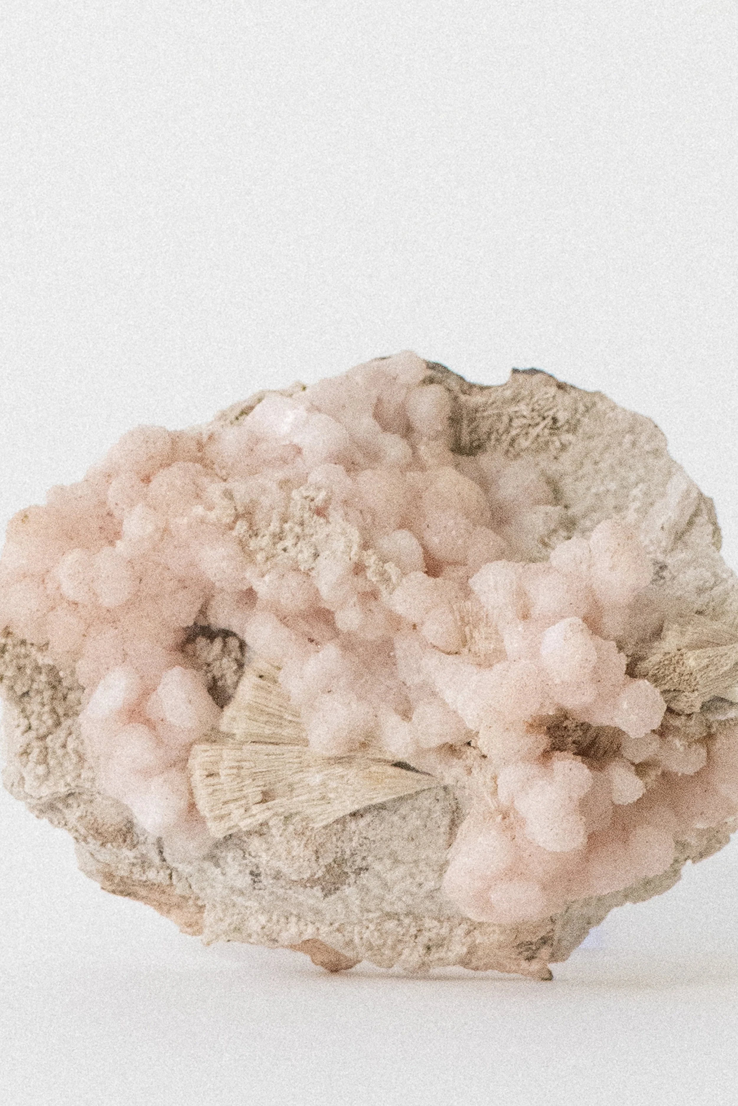Crystal-Voyager-Mangano-Calcite-with-Kutnohorite-Spray-South-Africa-2.jpg