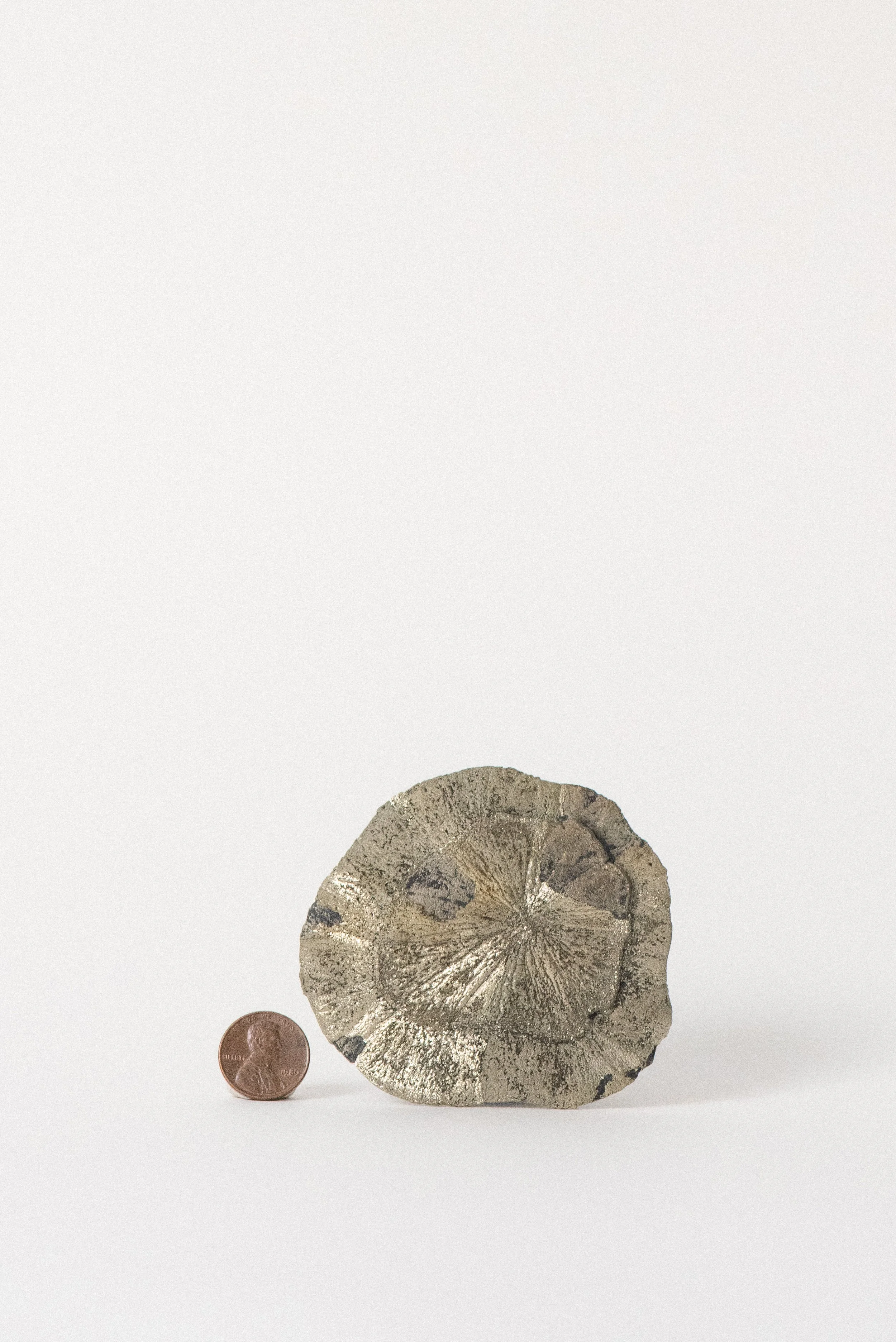 crystal-voyager-pyrite-sun-sparta-illinois-03.jpg
