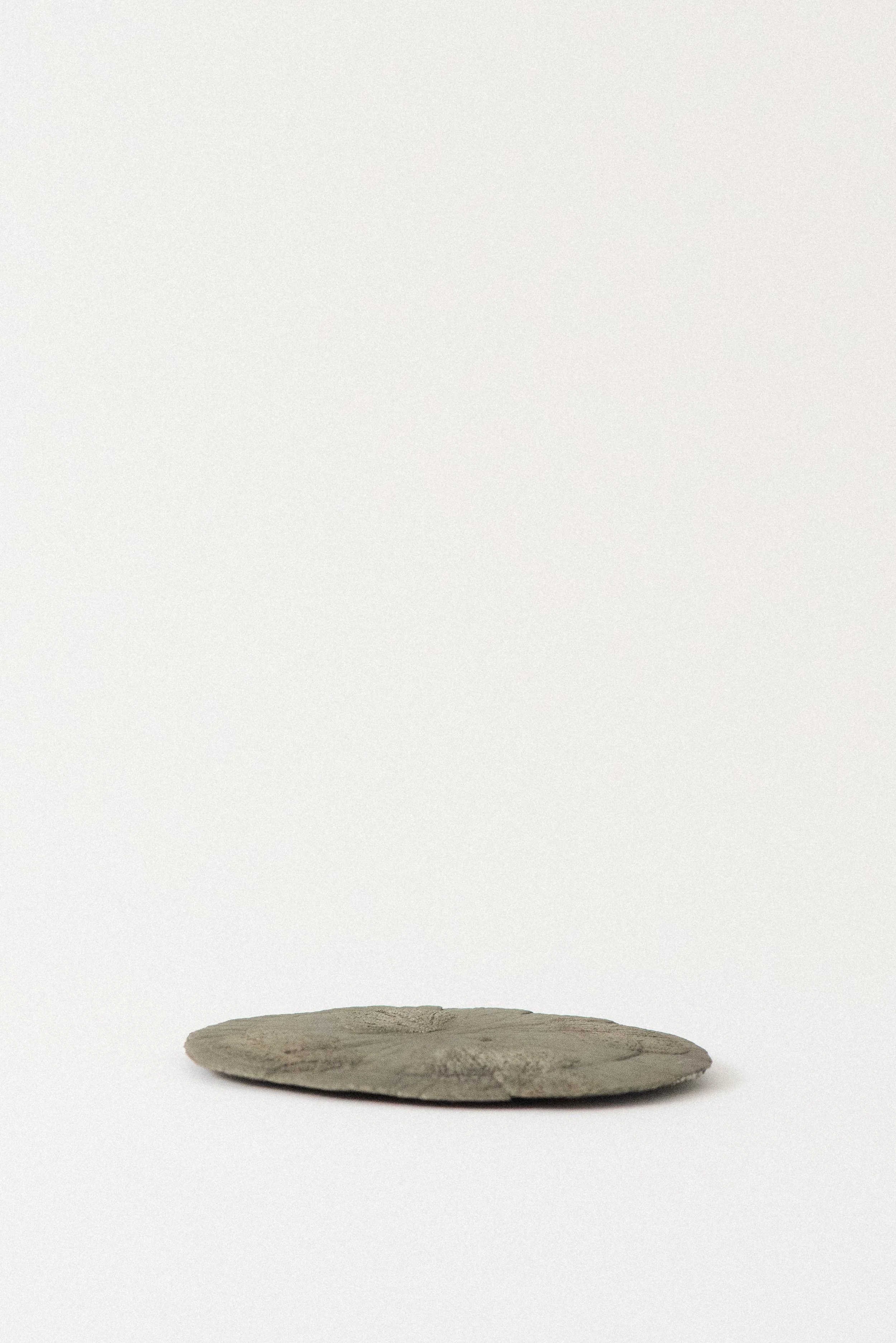 Flat side view of a round pyrite sun specimen from Sparta, Illinois, USA, showing its natural disc-like formation on a white background