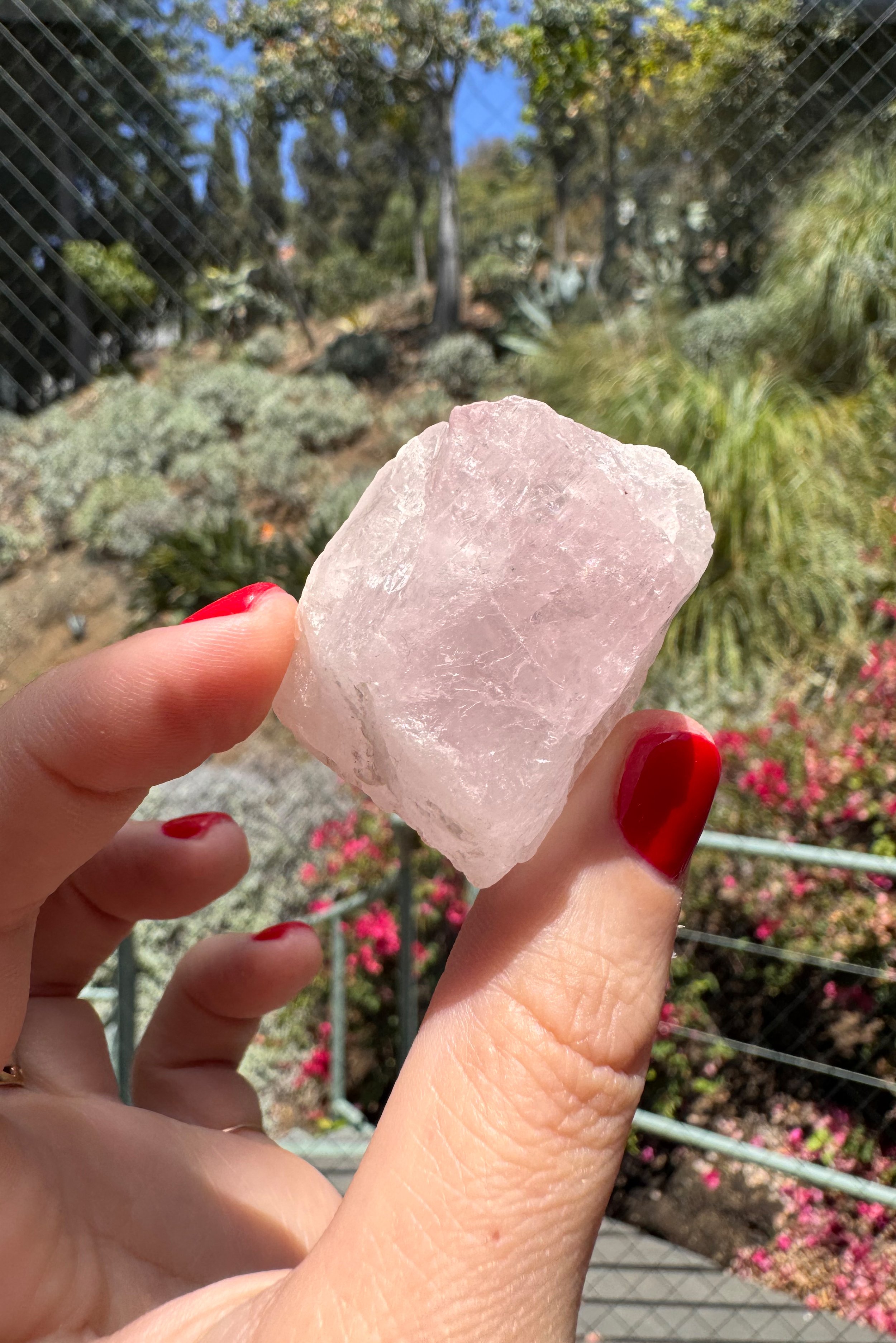crystal-voyager-morganite-nuristan-afghanistan-7.jpg