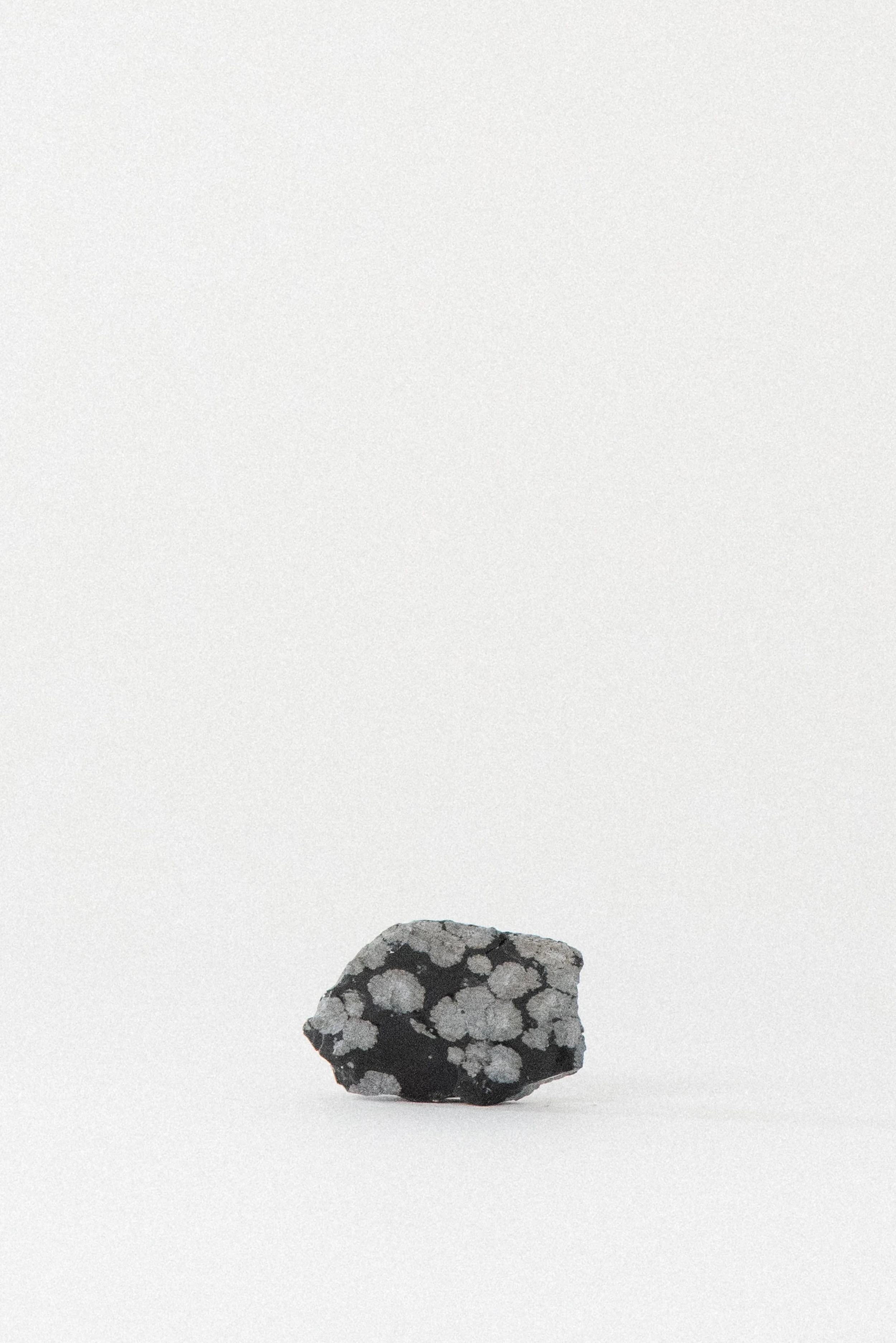 crystal-voyager-snowflake-obsidian-utah-1.jpg