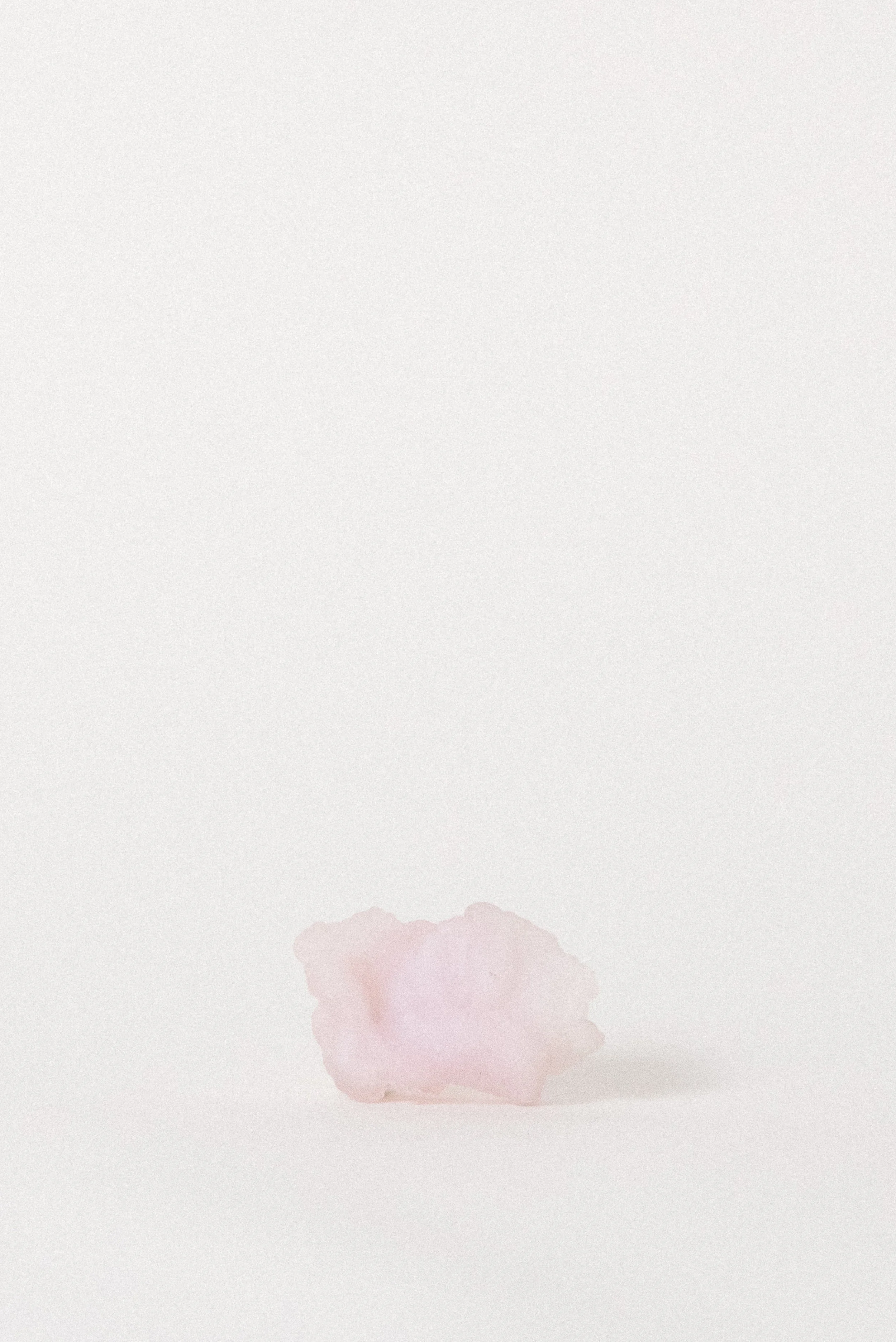 The Georgia O’Keeffe — Pink Chalcedony Rose, N. Mexico