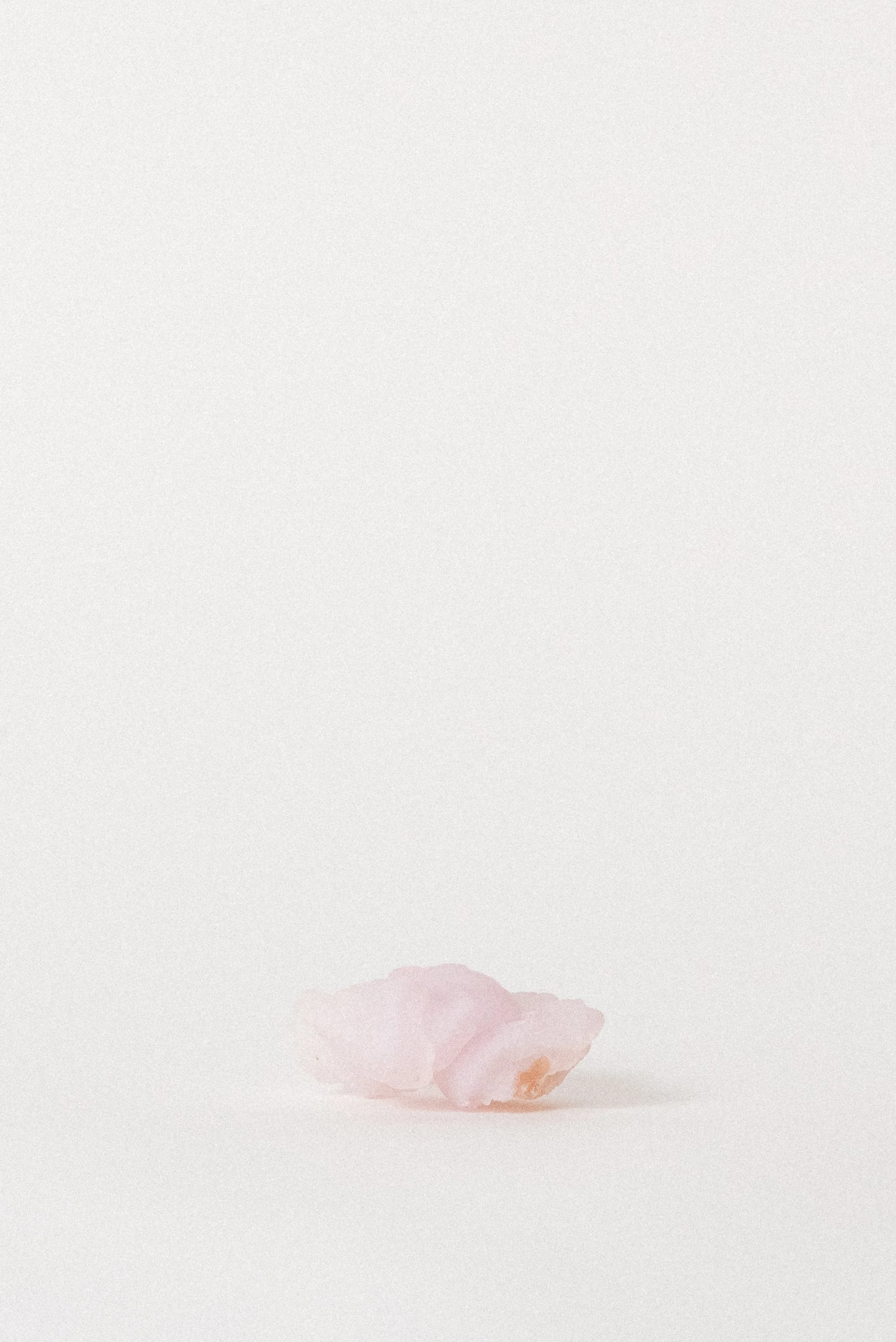 Crystal-Voyager-pink-chalcedony-rose-mineral-speciman-from-Pink-Deposit-Luna-County-New-Mexico-3.jpg