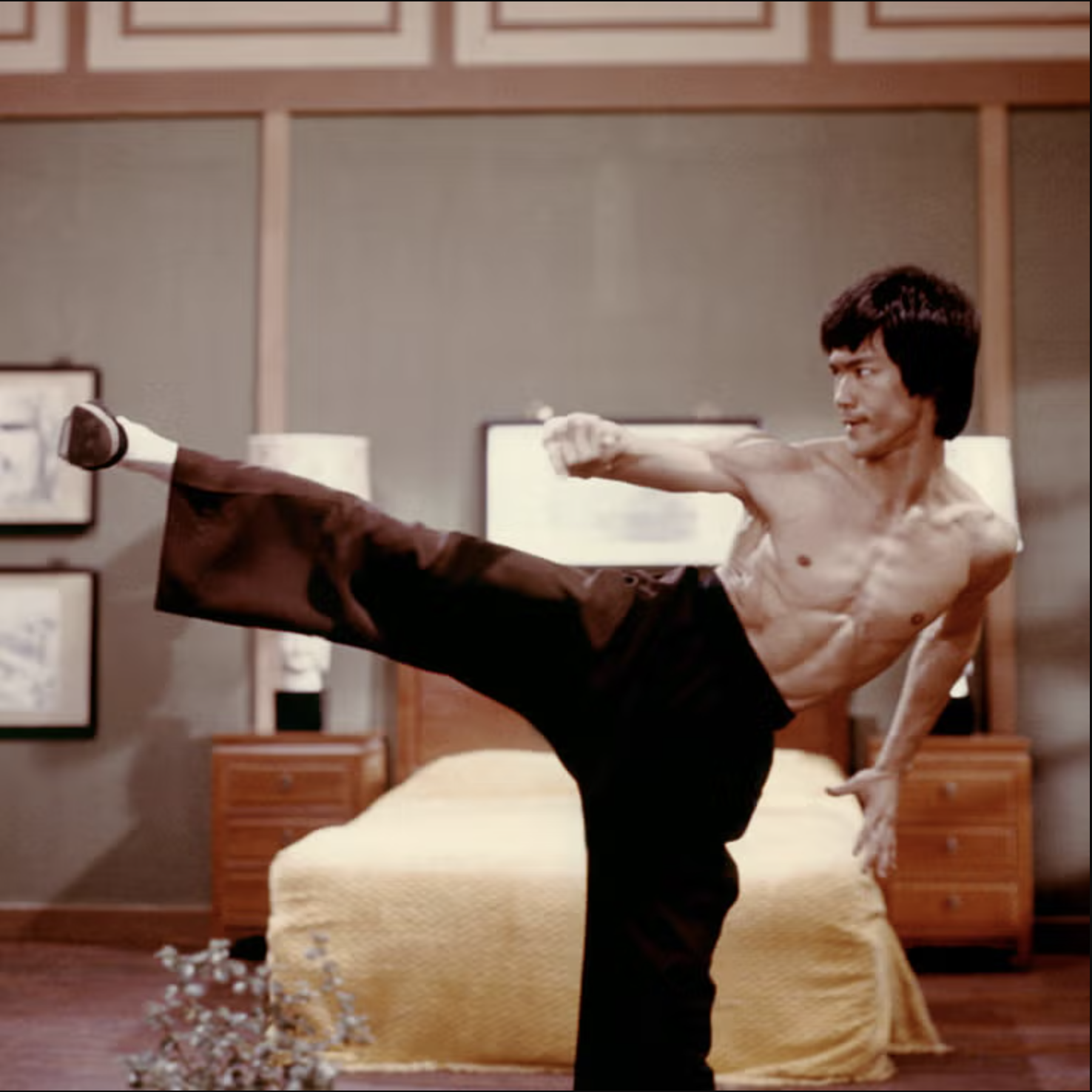 chinese-american-martial-artist-and-actor-bruce-lee.png