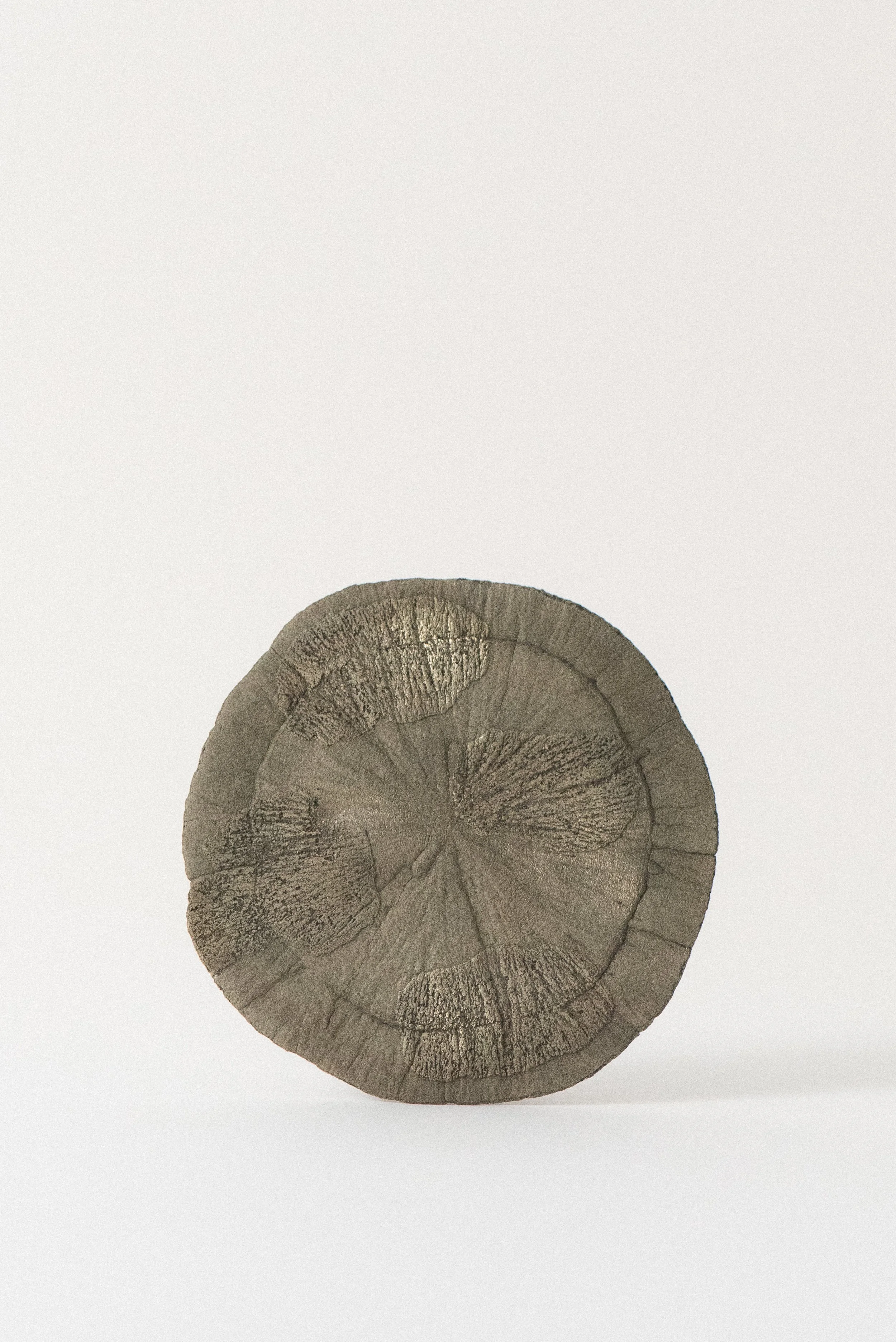 Round pyrite sun mineral specimen from Sparta, Illinois, USA, showing radiating metallic patterns against a white background