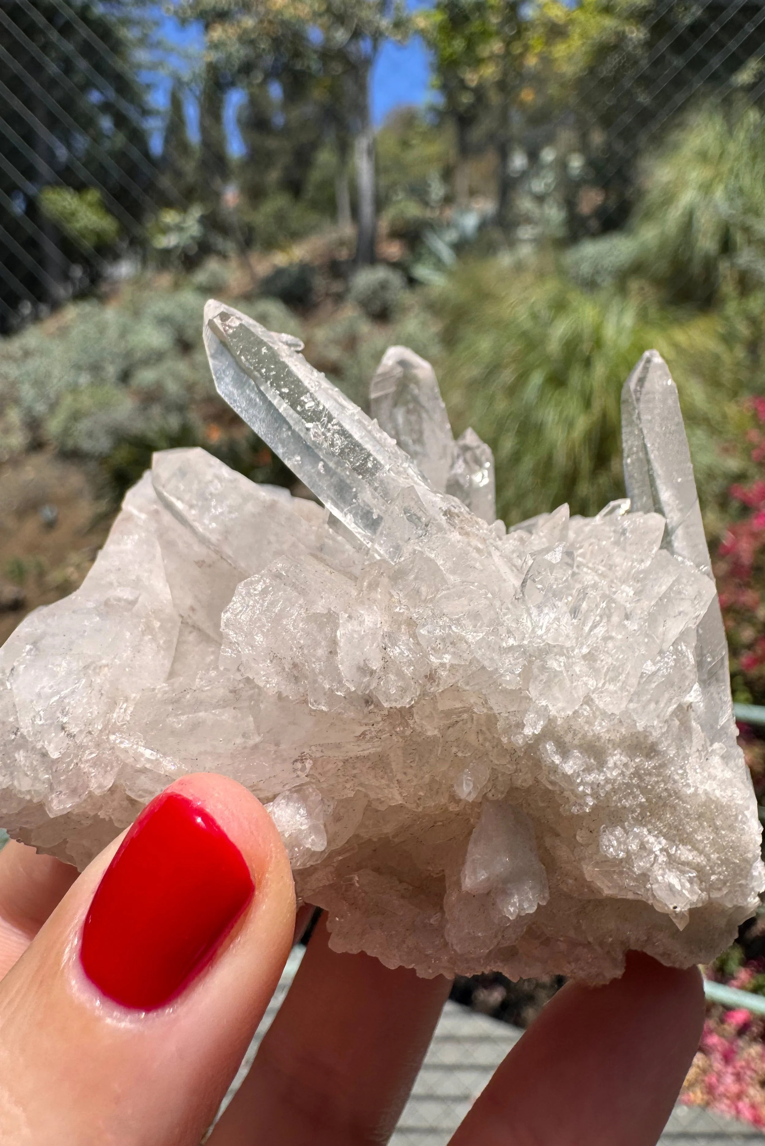 crystal-voyager-quartz-cluster-diamantina-brazil-7.jpg