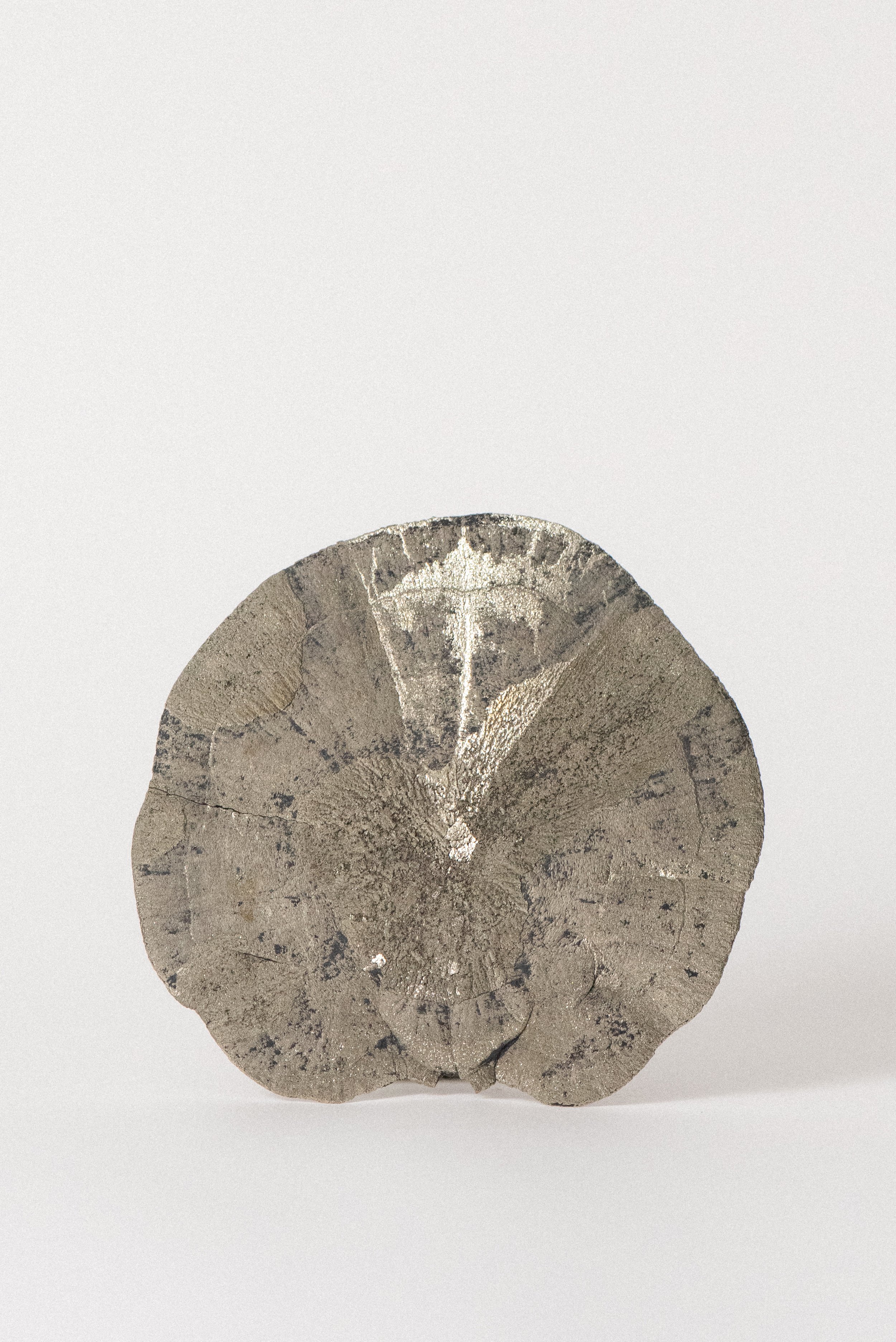 Crystal-Voyager-Large-High-Grade-Pyrite-Sun-Sparta-Illinois-1.jpg