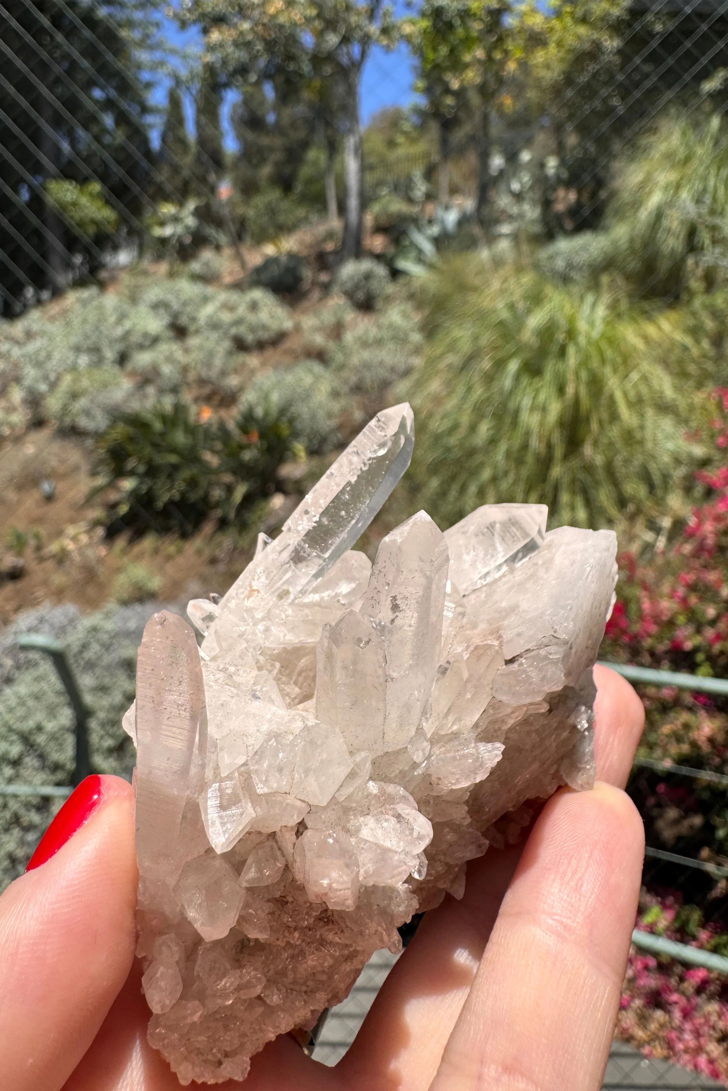 crystal-voyager-quartz-cluster-diamantina-brazil-8.jpg