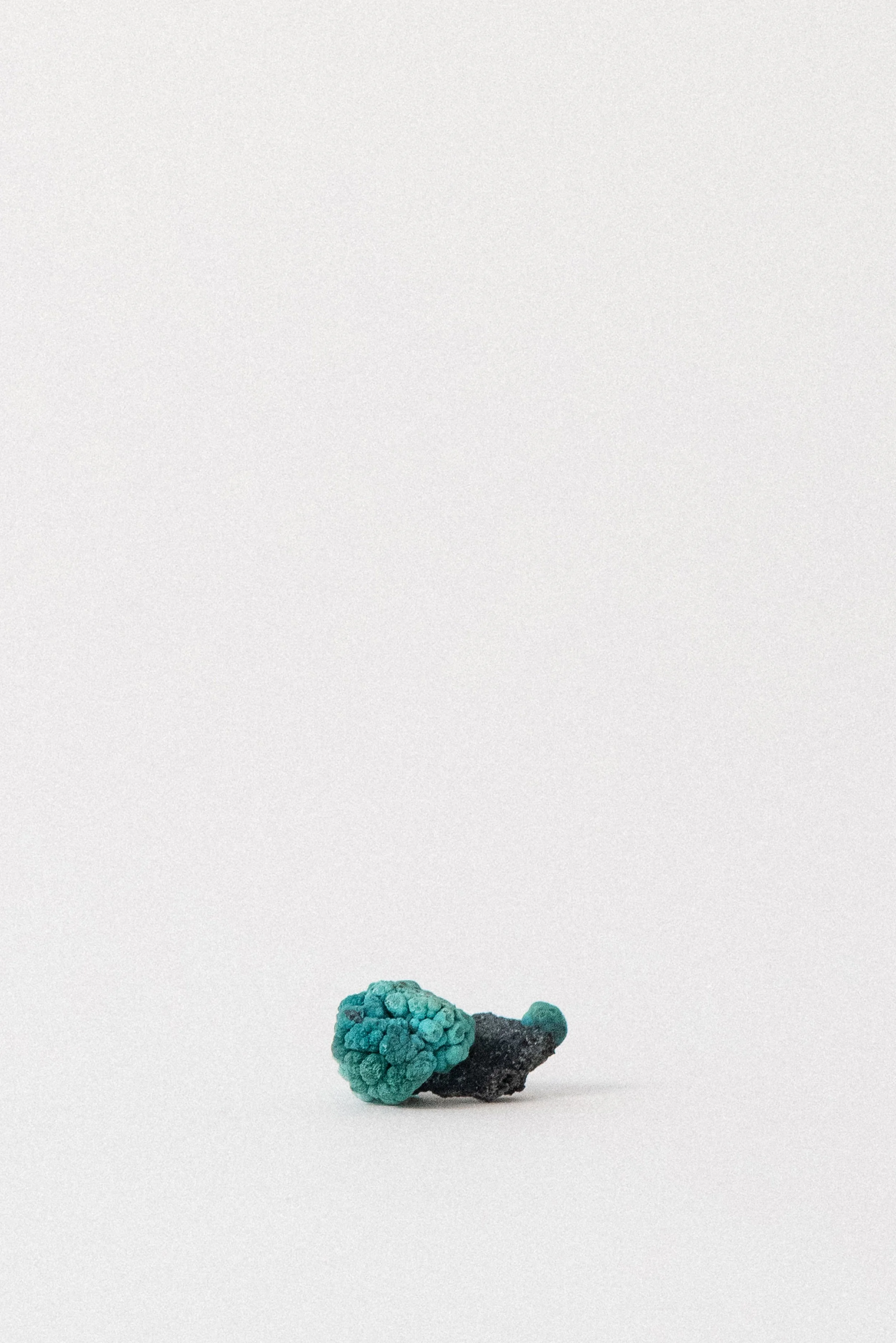 Botryoidal Chrysocolla pseudomorph after Malachite mineral specimen from Planet Mine, Arizona, displayed on white background.