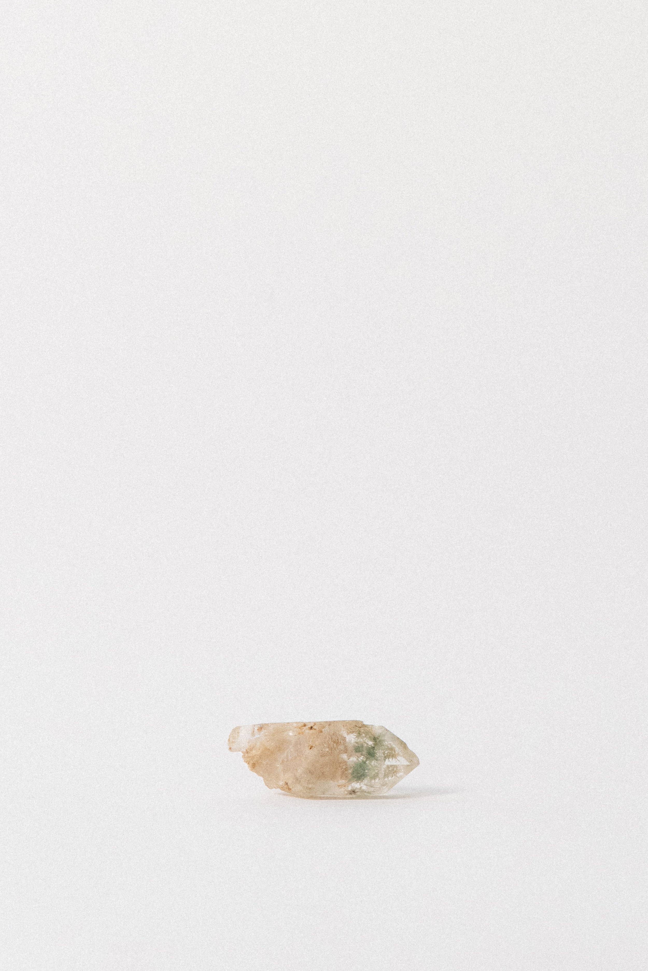The Secret Garden — Clear Quartz Point w/ Pumpellyite, India