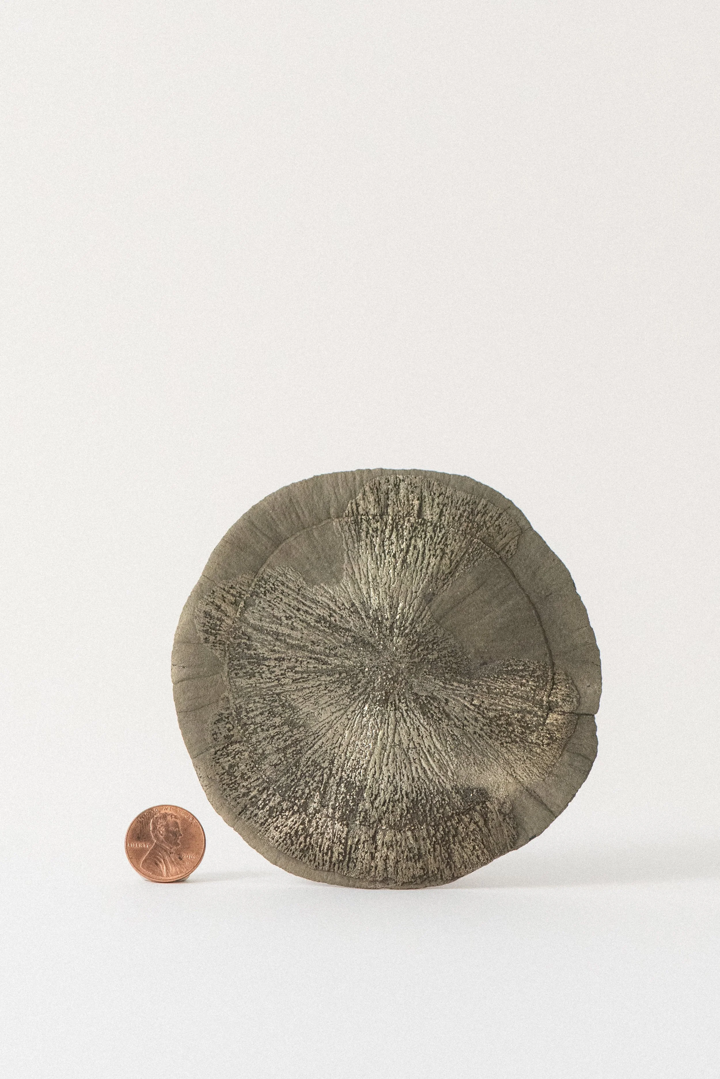 Pyrite sun mineral specimen from Sparta, Illinois, USA, shown next to a penny for scale against a white background
