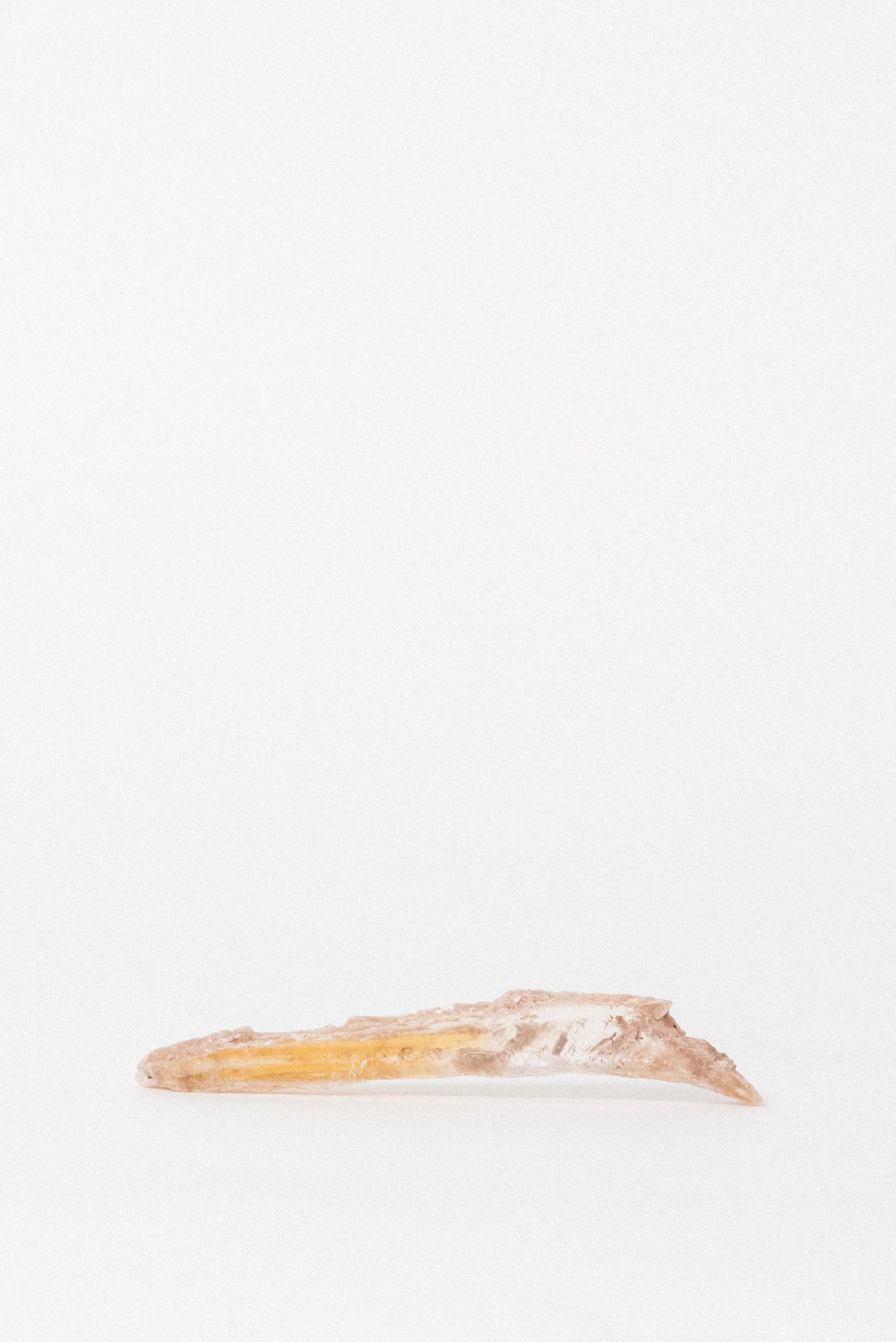 899-3-Crystal_Voyager_online_crystal_store_Golden_selenite_wand_mineral_specimen_from_st_david_arizona_for_sale_1.jpg