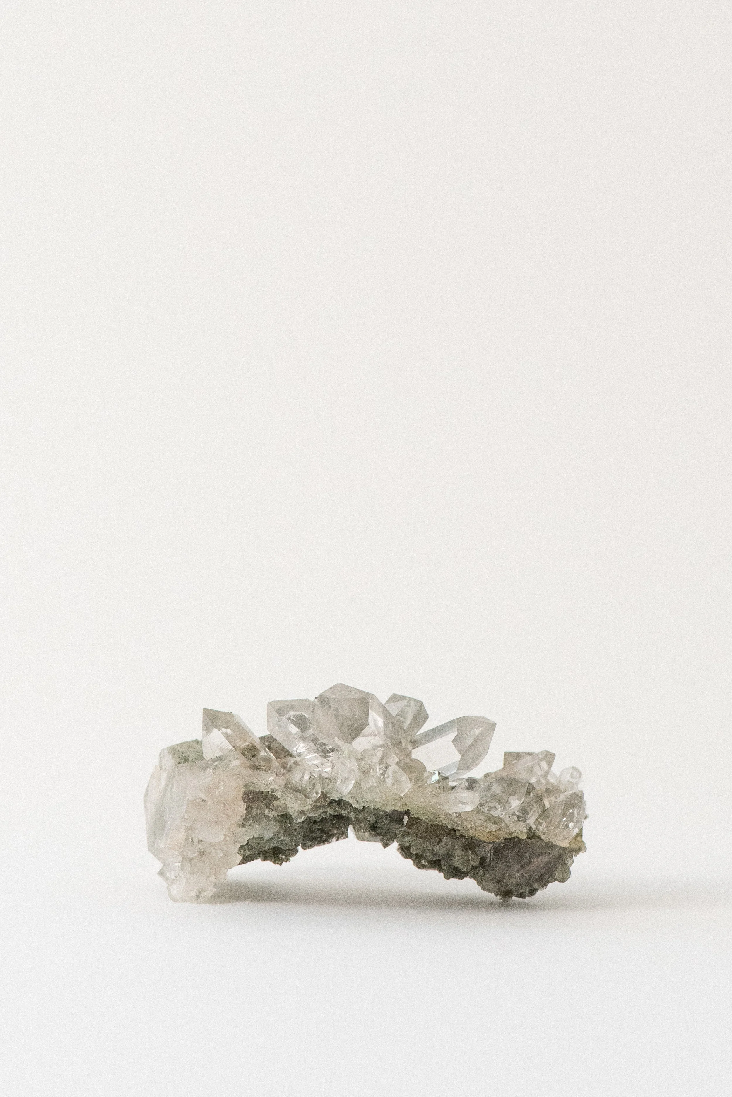 Curved Himalayan quartz cluster with chlorite, golden rutile, and anatase inclusions from Manihar, Kullu, Himachal Pradesh, India, displayed on a white surface.