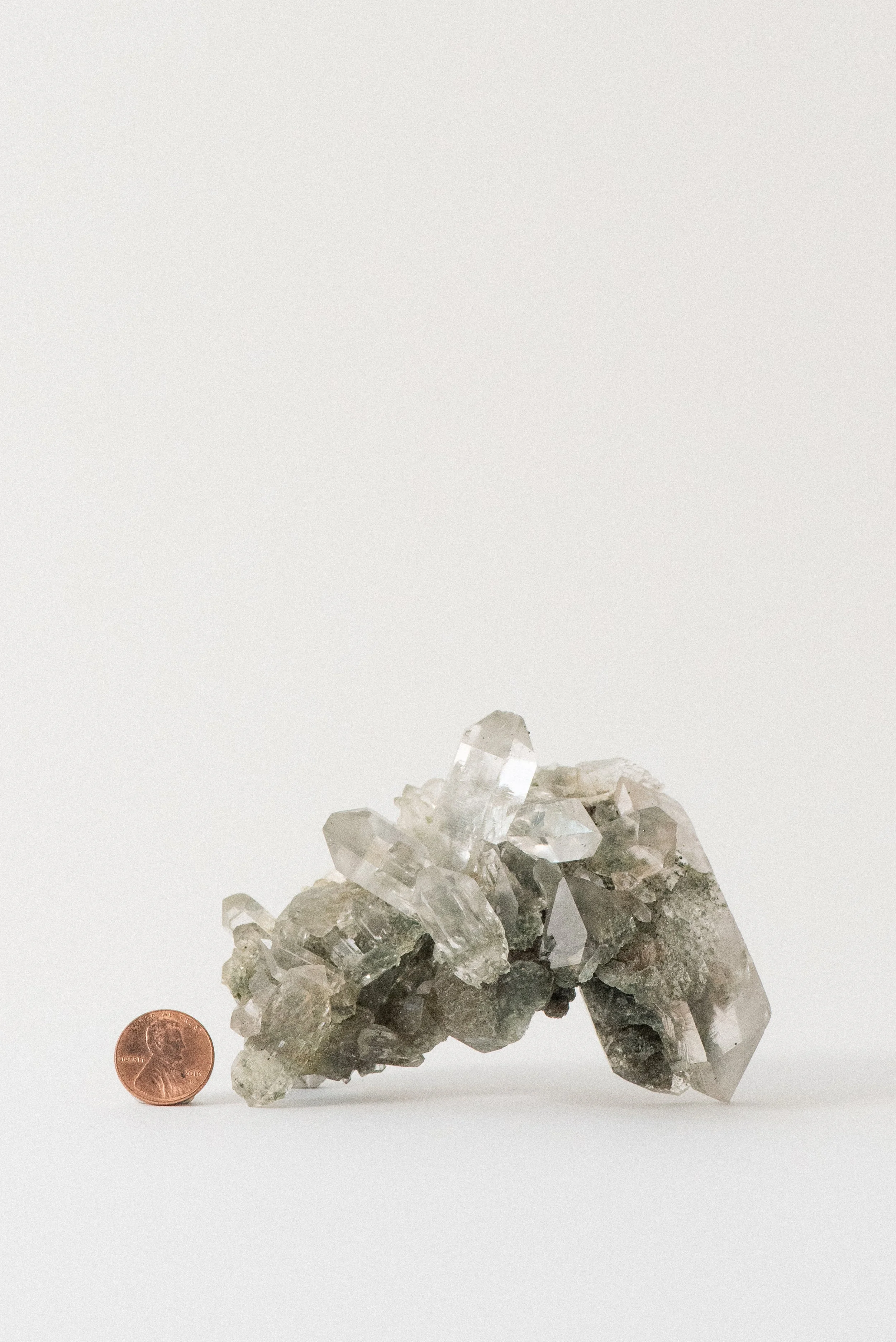 Himalayan quartz crystal cluster with chlorite, golden rutile, and anatase from Manihar, Kullu, Himachal Pradesh, India, shown with a penny for size reference on white background.