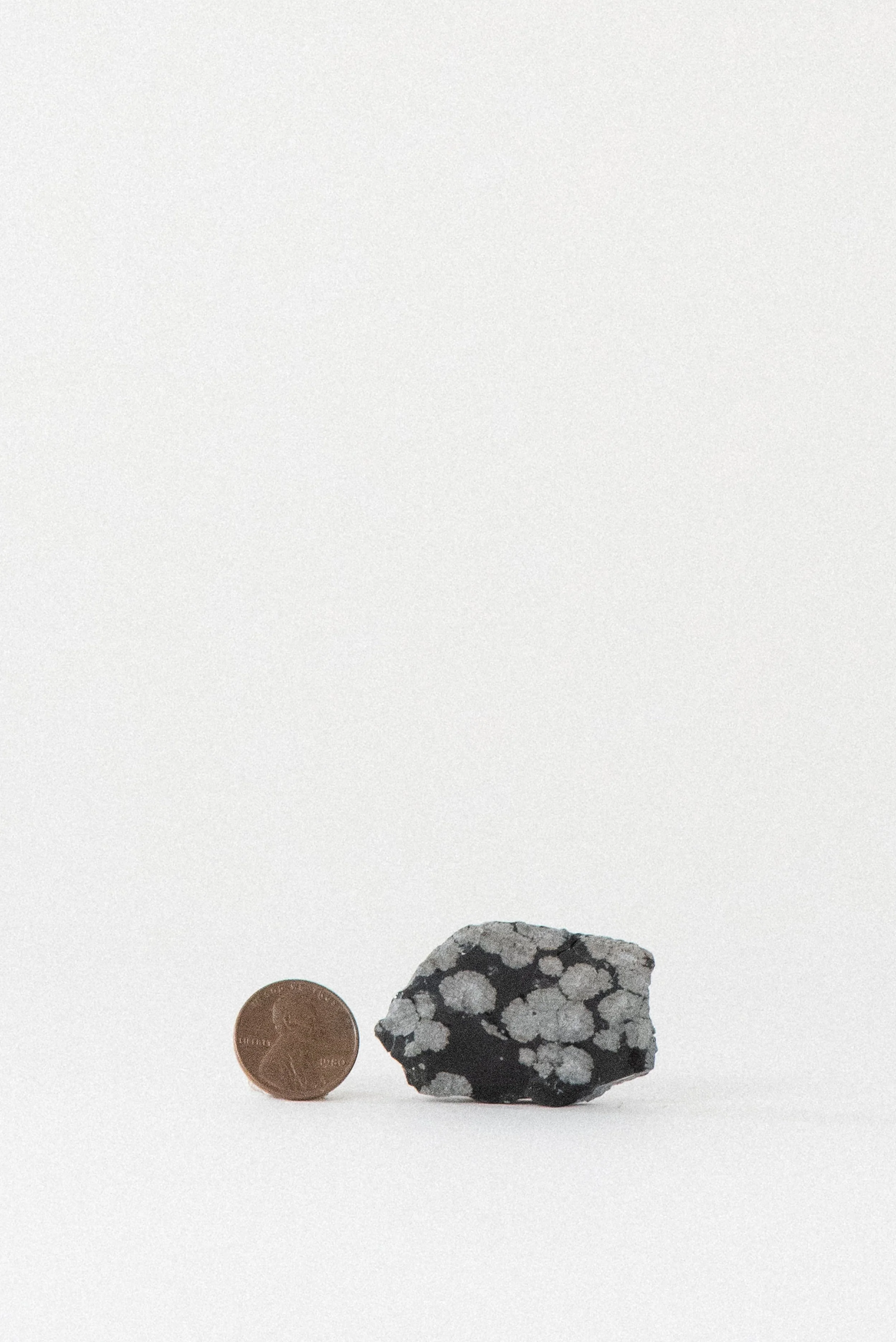 crystal-voyager-snowflake-obsidian-utah-4.jpg
