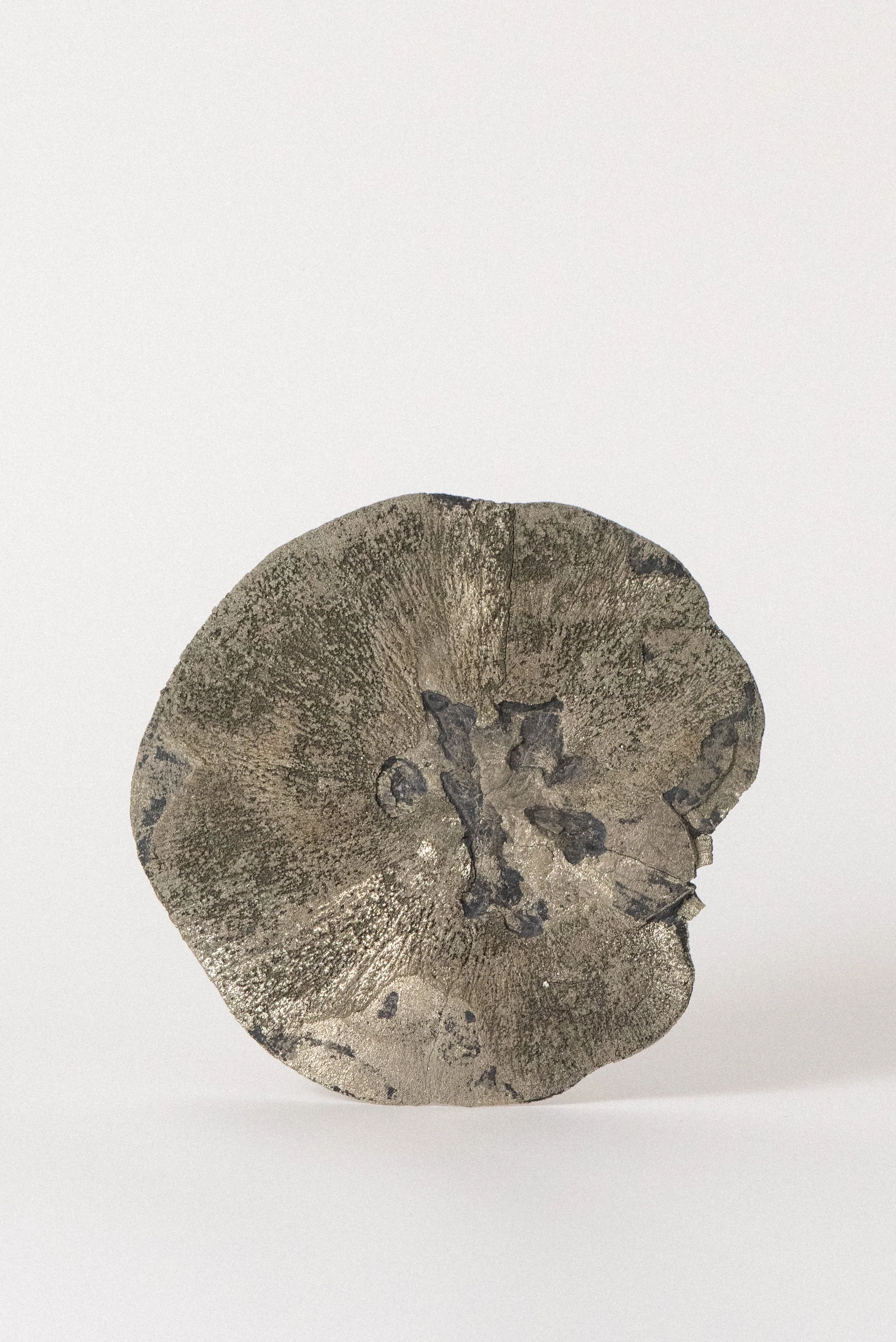 Crystal-Voyager-Large-High-Grade-Pyrite-Sun-Sparta-Illinois-2.jpg