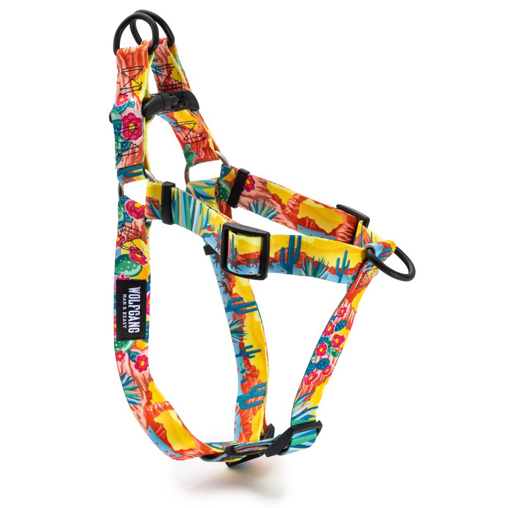 PackLeader1inHarness.jpg